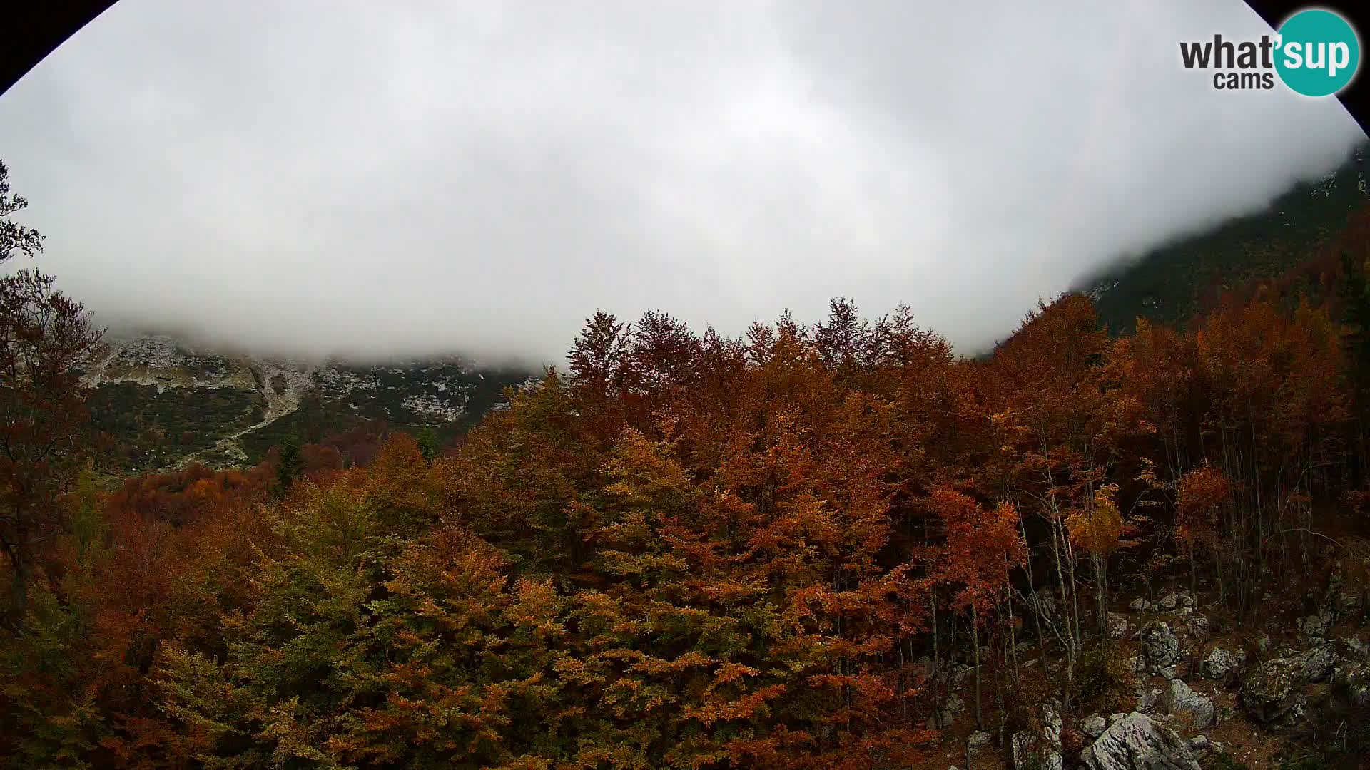 Livecam PLANINA RAZOR (1315) | vue sur Vogel et Globoko