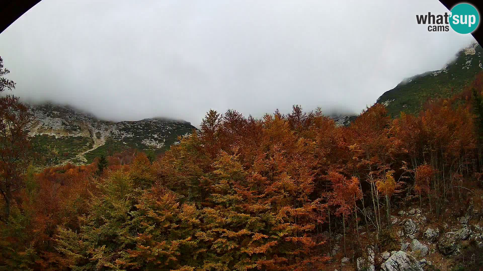 PLANINA RAZOR kamera (1315) | pogled na Vogel in Globoko