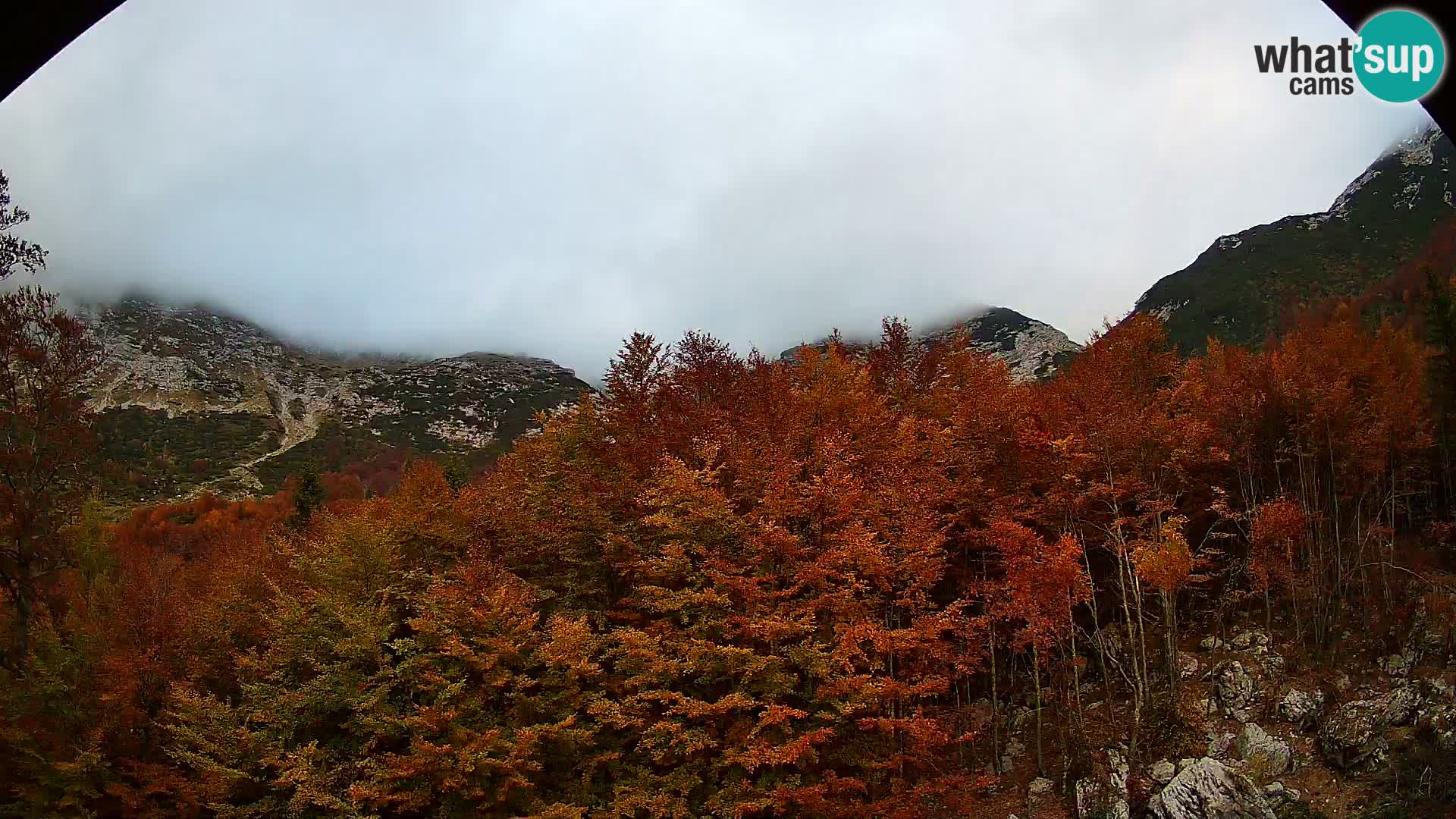 PLANINA RAZOR web kamera (1315) | pogled na Vogel i Globoko