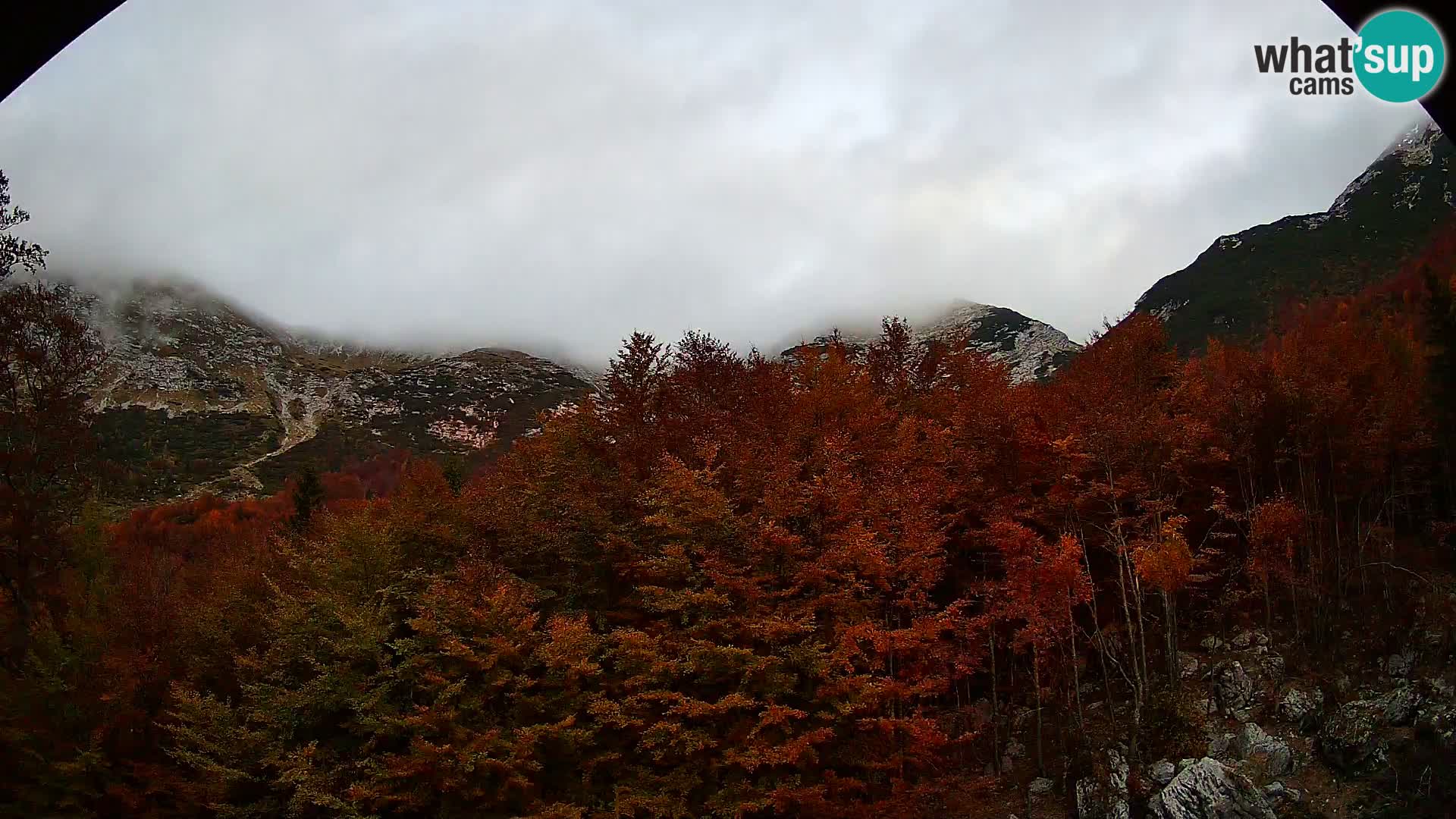 Livecam PLANINA RAZOR (1315) | vue sur Vogel et Globoko