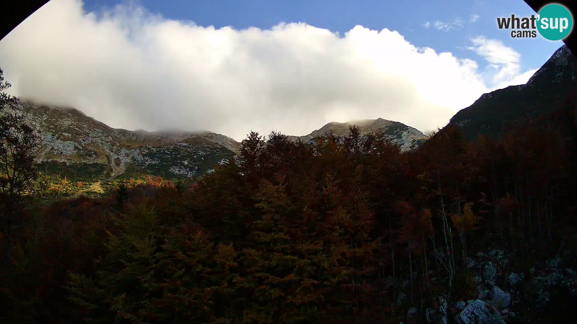 Webcam PLANINA RAZOR (1315) | Blick auf Vogel und Globoko