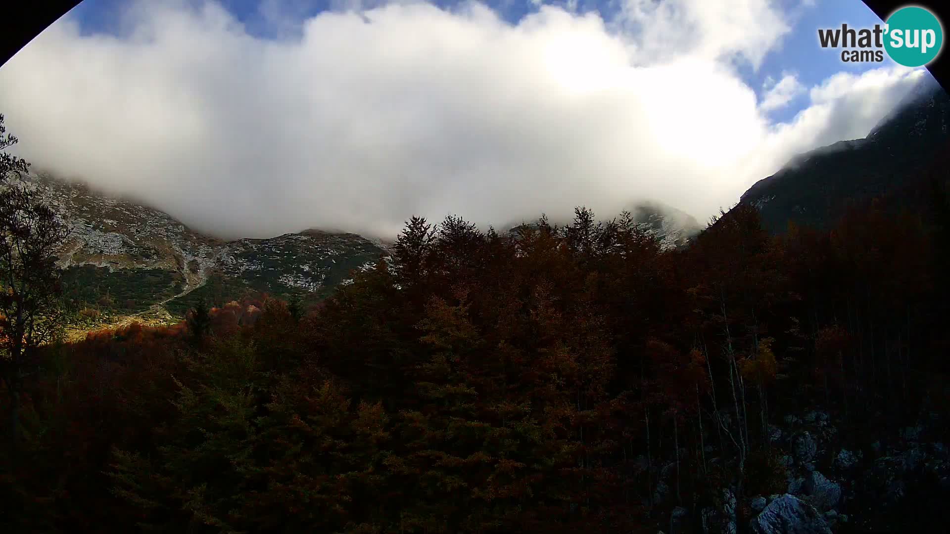 PLANINA RAZOR Live Cam (1315) | vista su Vogel e Globoko