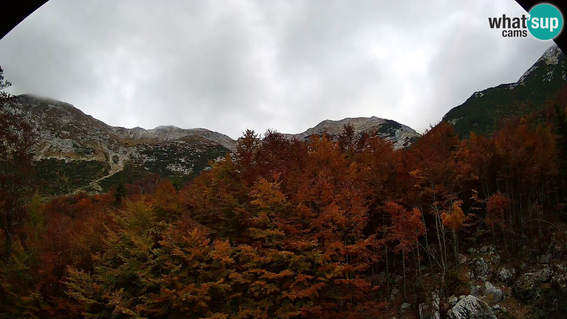 PLANINA RAZOR webcam (1315) | view to Vogel and Globoko
