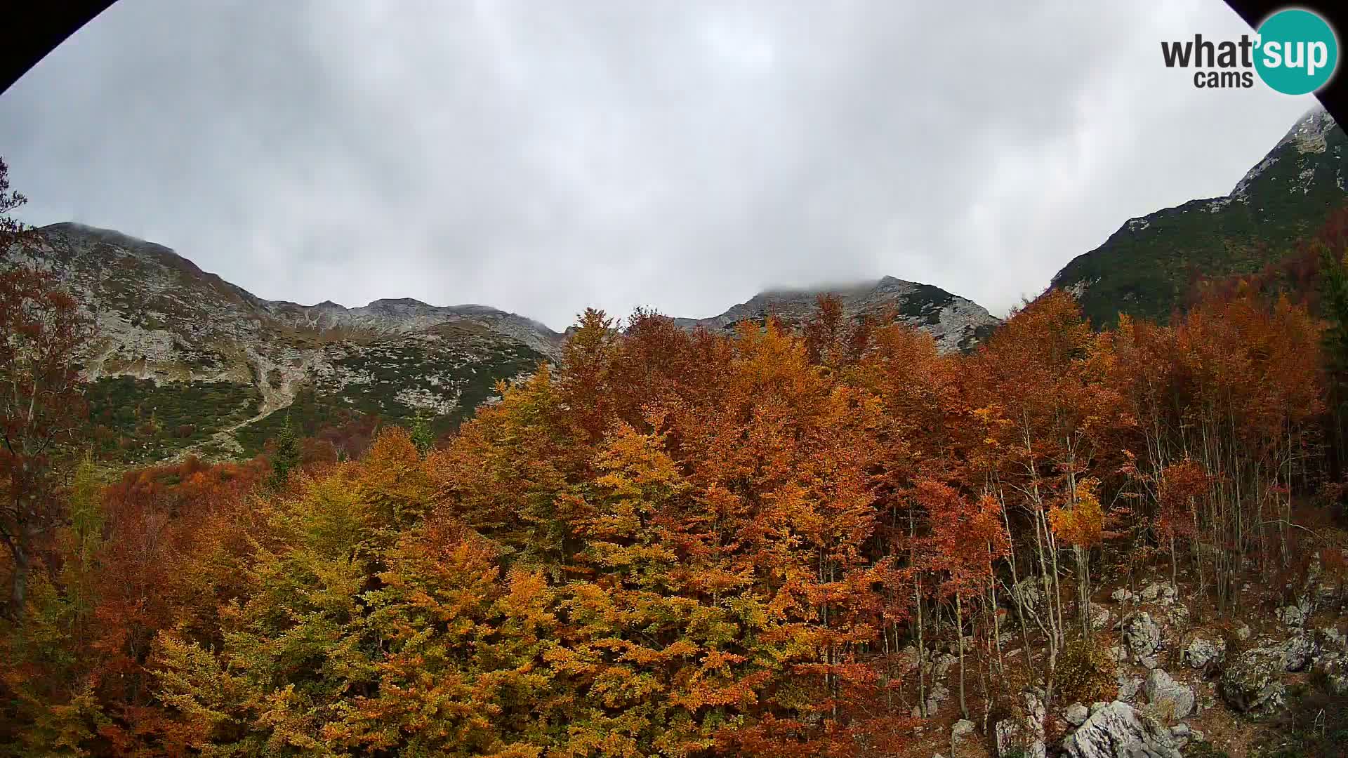 Webcam PLANINA RAZOR (1315) | Blick auf Vogel und Globoko