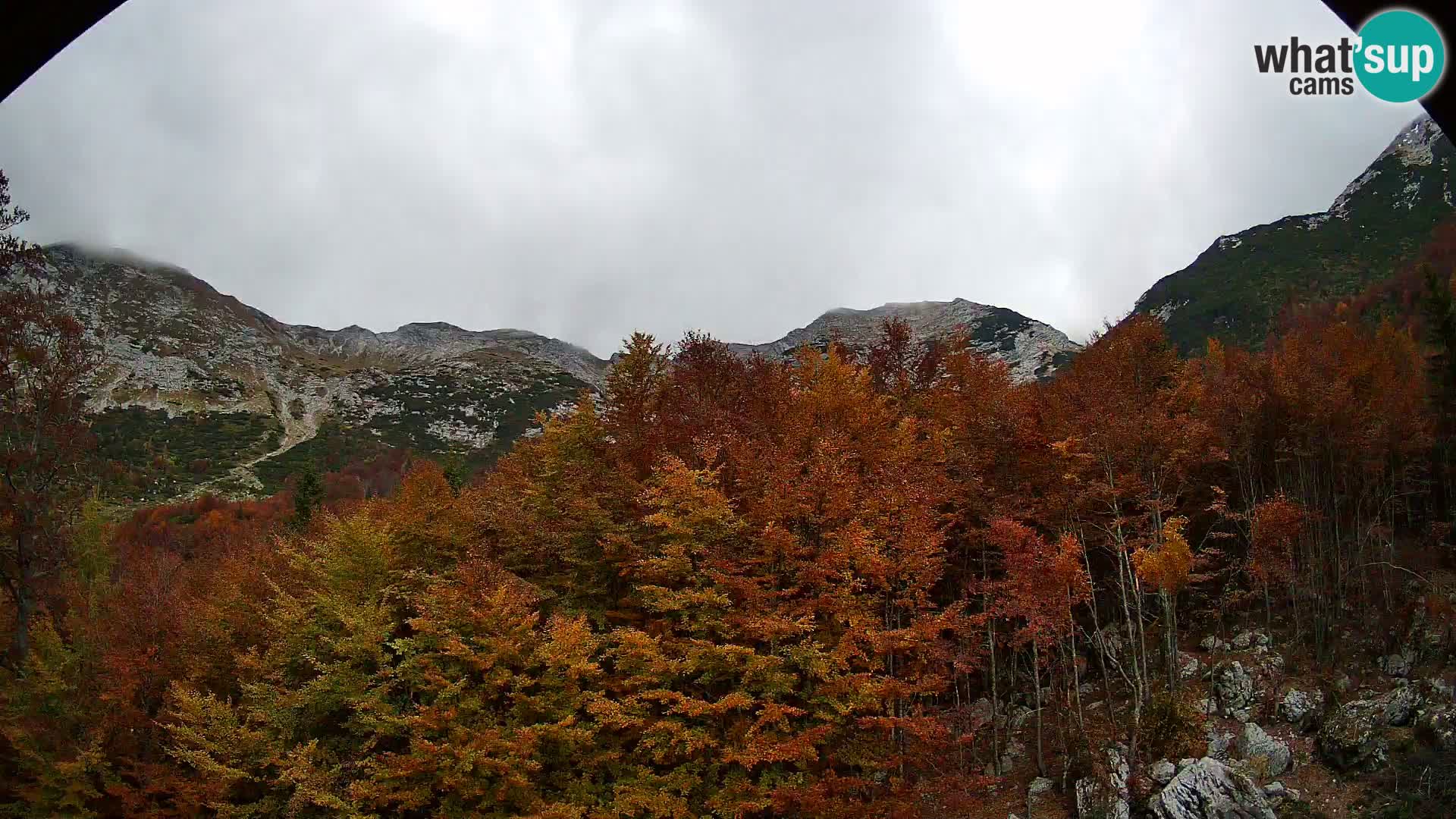 Cámara web PLANINA RAZOR (1315) | vista a Vogel y Globoko