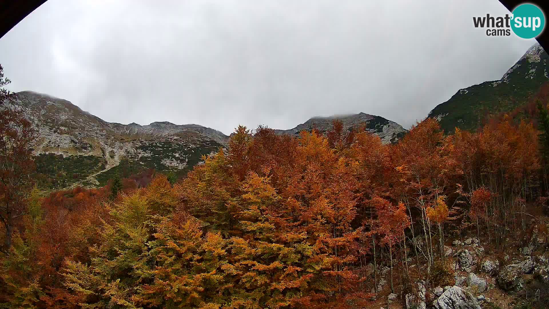 PLANINA RAZOR Live Cam (1315) | vista su Vogel e Globoko