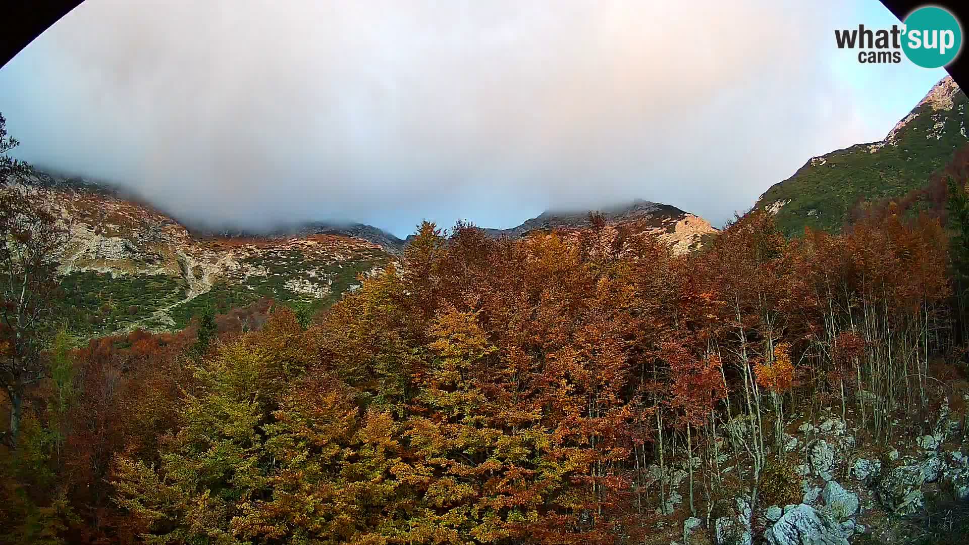 PLANINA RAZOR kamera (1315) | pogled na Vogel in Globoko