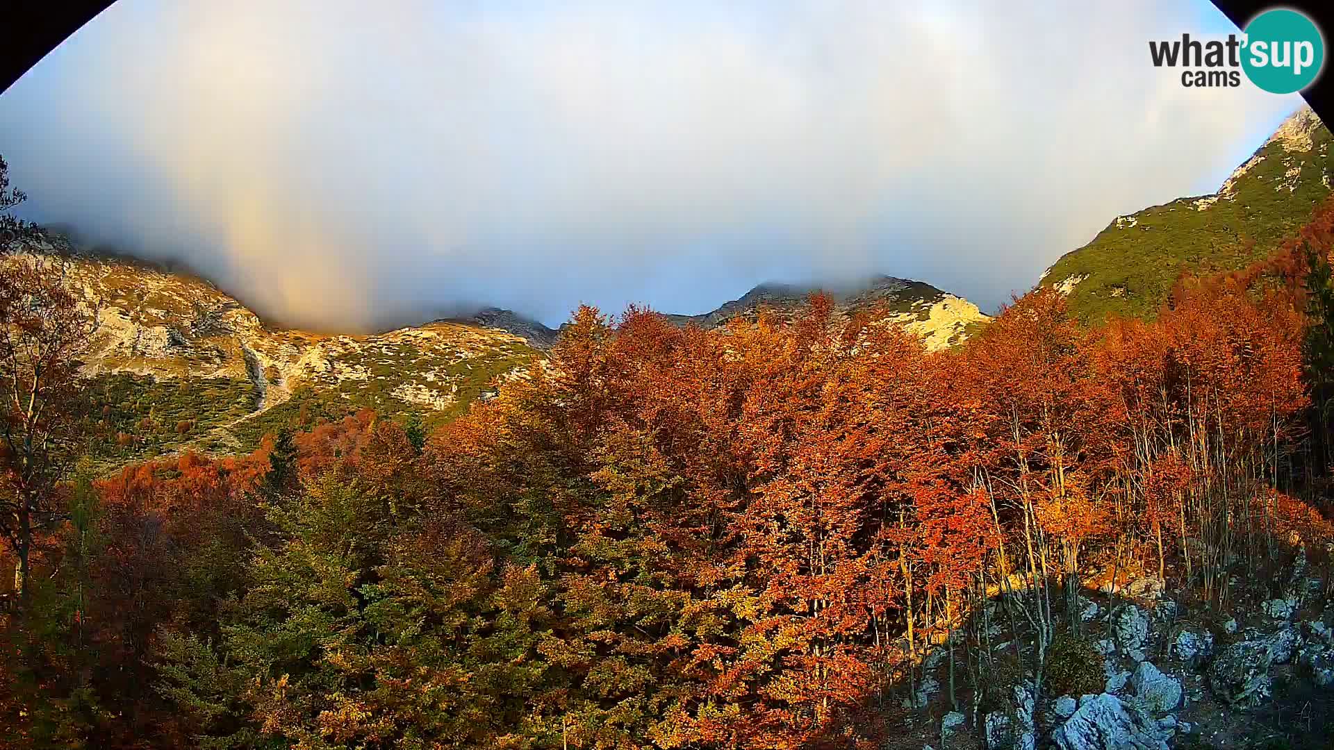 PLANINA RAZOR webcam (1315) | view to Vogel and Globoko
