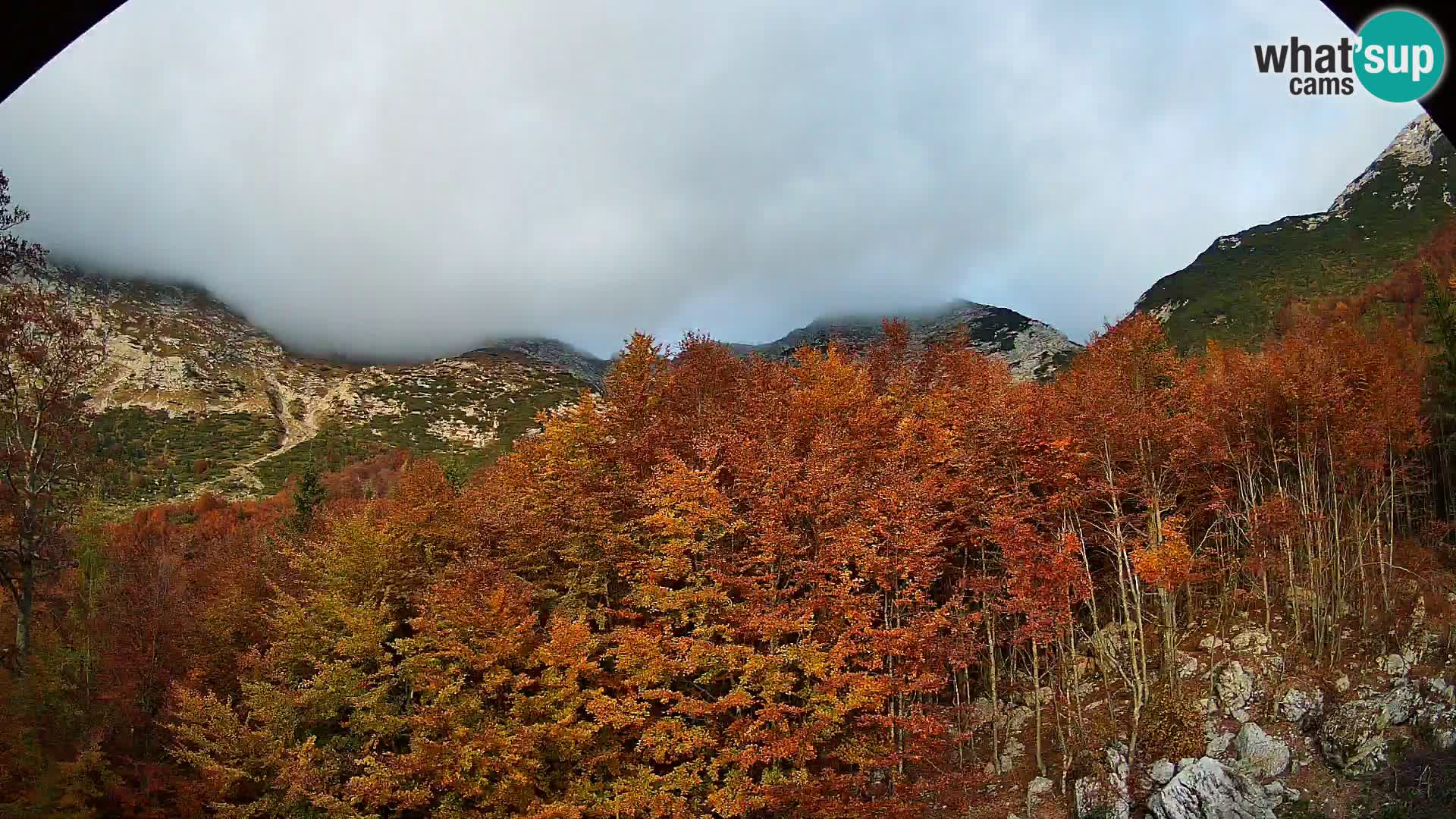 Livecam PLANINA RAZOR (1315) | vue sur Vogel et Globoko