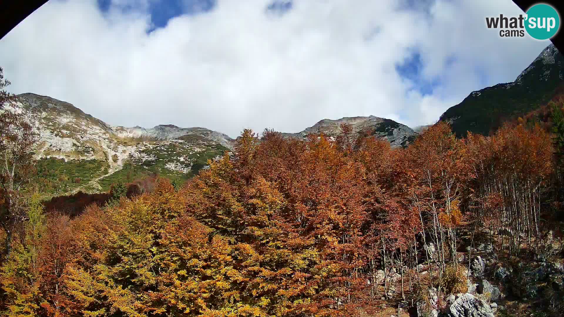 PLANINA RAZOR Live Cam (1315) | vista su Vogel e Globoko