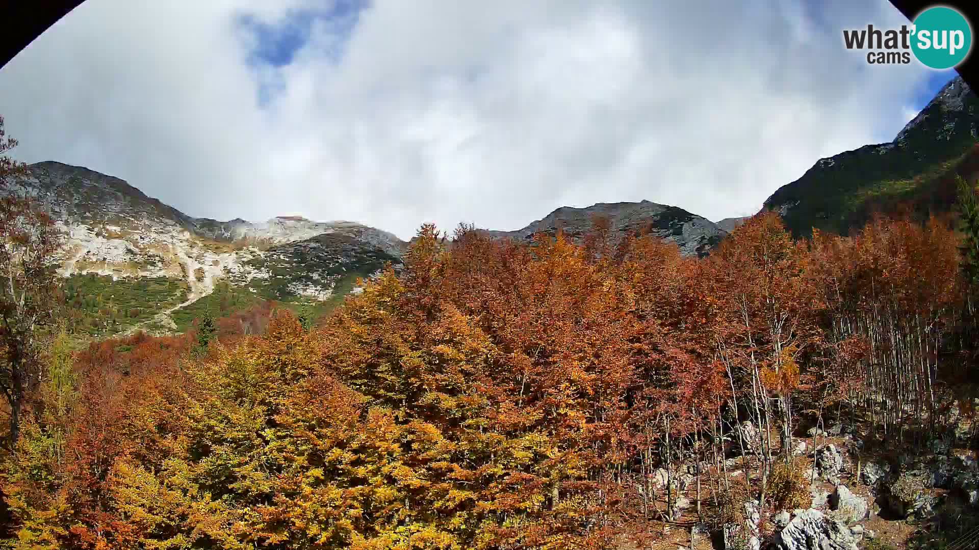Cámara web PLANINA RAZOR (1315) | vista a Vogel y Globoko