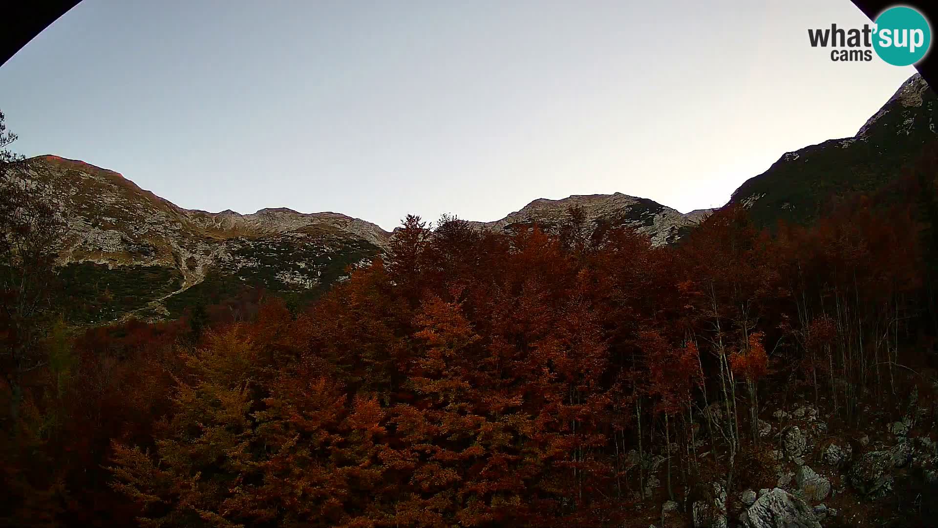 Webcam PLANINA RAZOR (1315) | Blick auf Vogel und Globoko