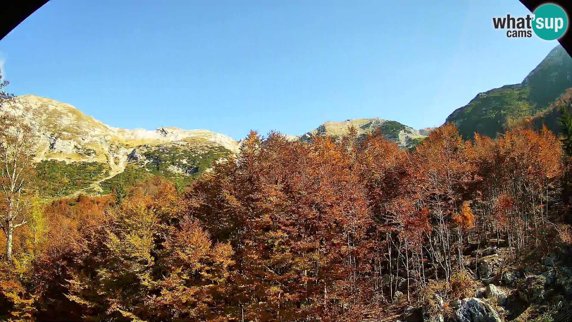 PLANINA RAZOR web kamera (1315) | pogled na Vogel i Globoko
