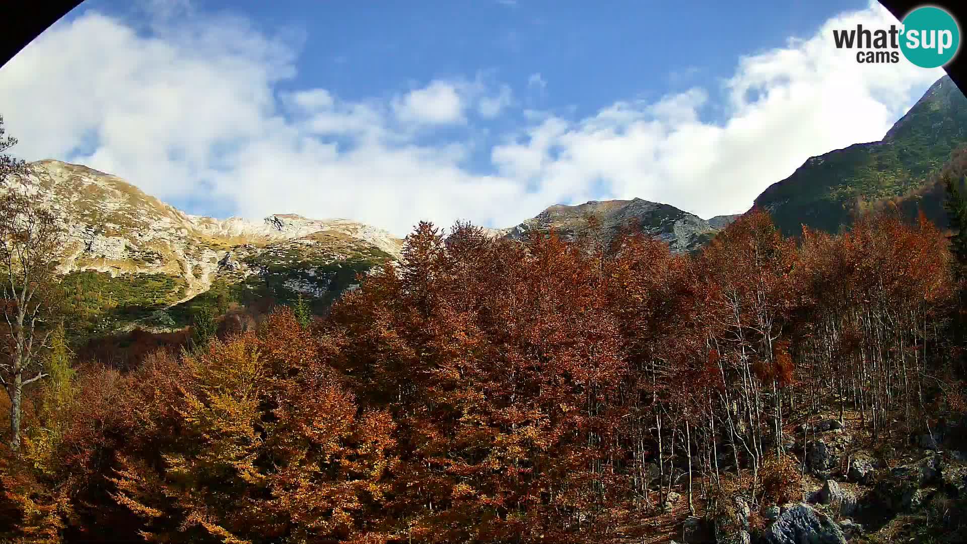 Cámara web PLANINA RAZOR (1315) | vista a Vogel y Globoko