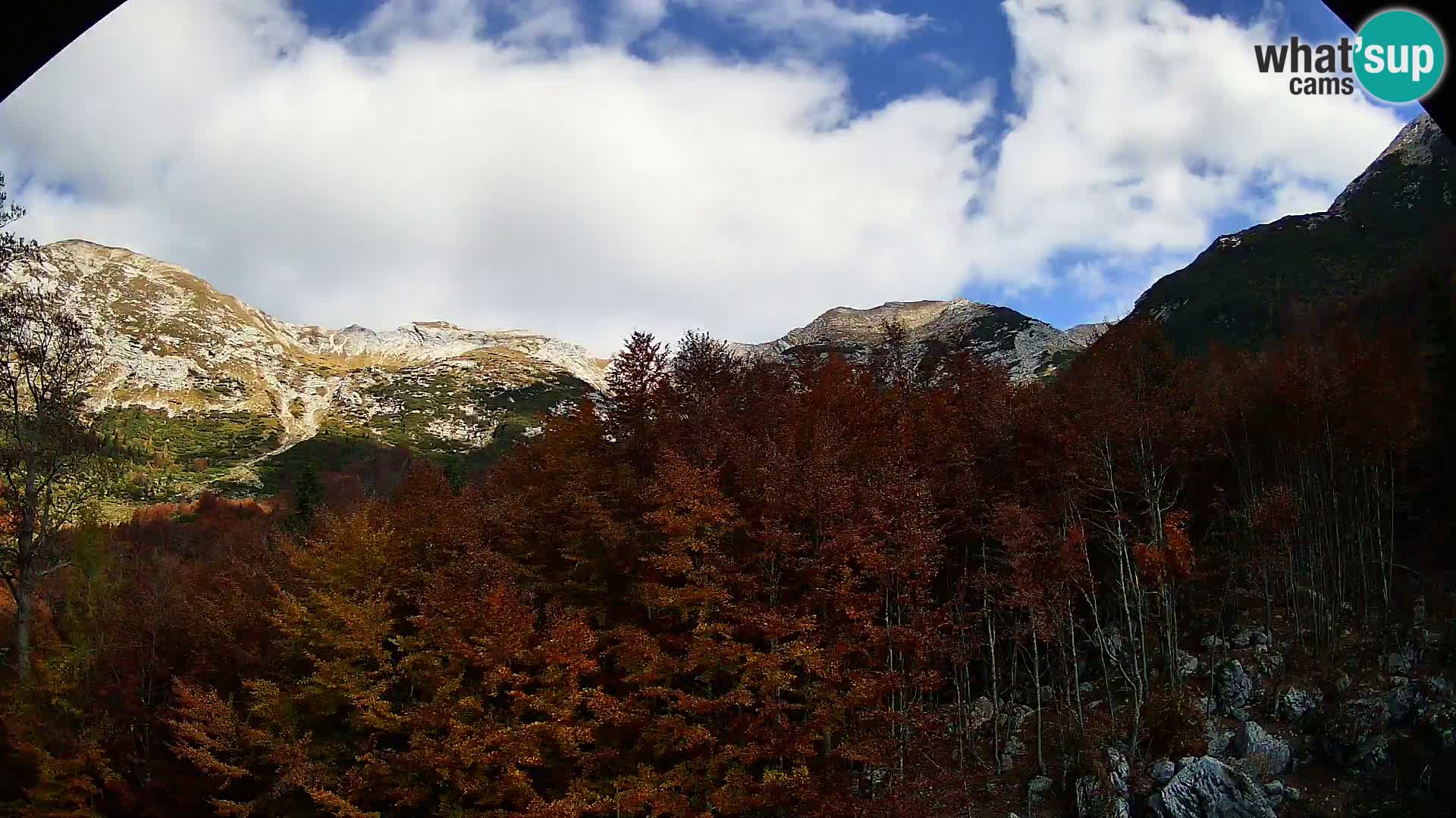 Livecam PLANINA RAZOR (1315) | vue sur Vogel et Globoko
