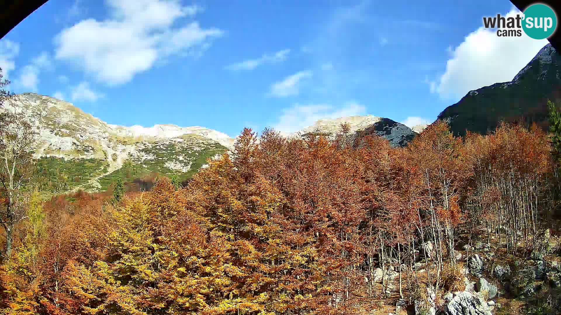PLANINA RAZOR kamera (1315) | pogled na Vogel in Globoko