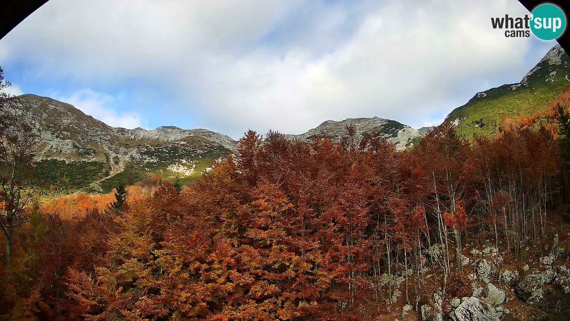 Webcam PLANINA RAZOR (1315) | Blick auf Vogel und Globoko