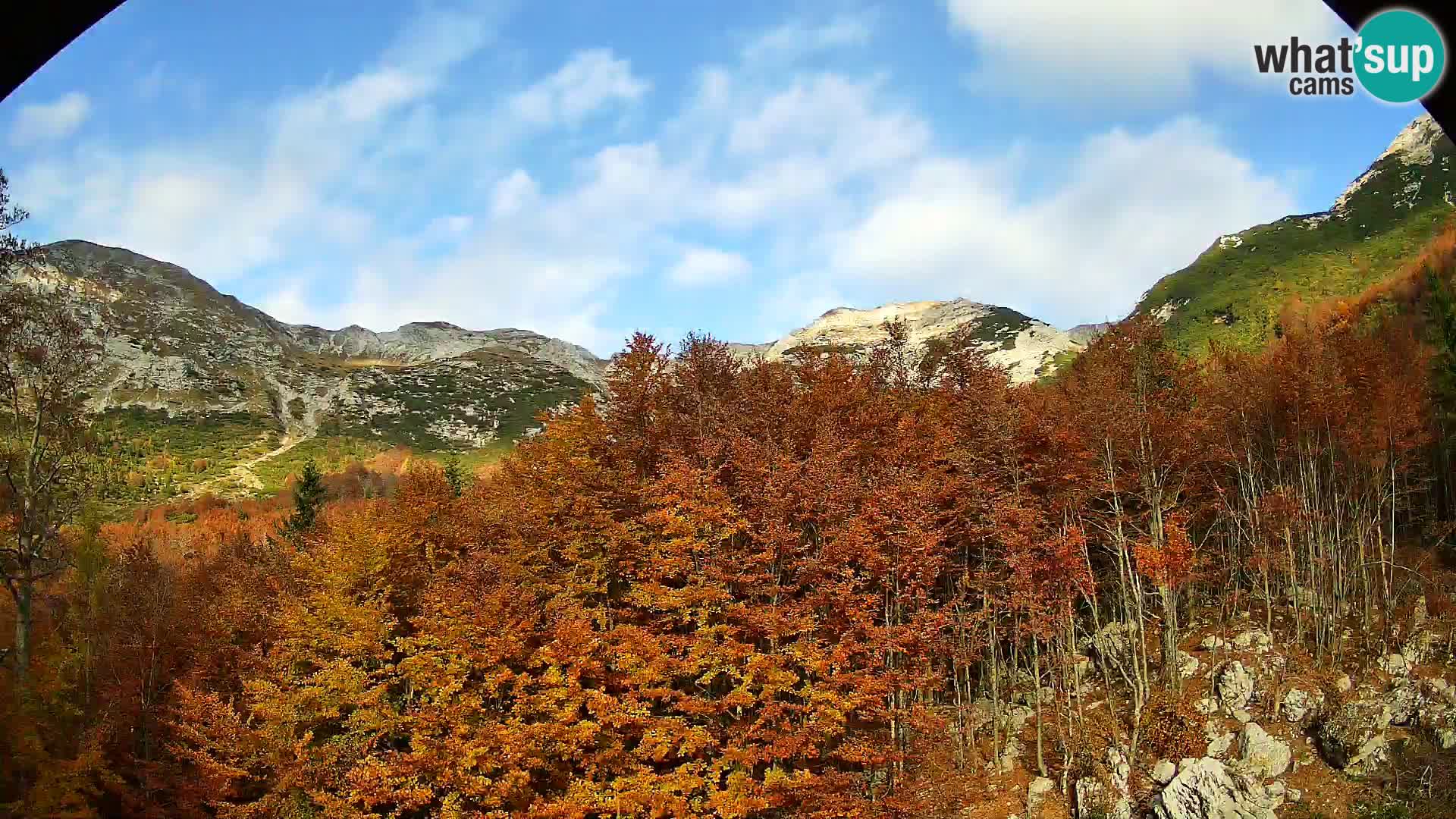 PLANINA RAZOR Live Cam (1315) | vista su Vogel e Globoko