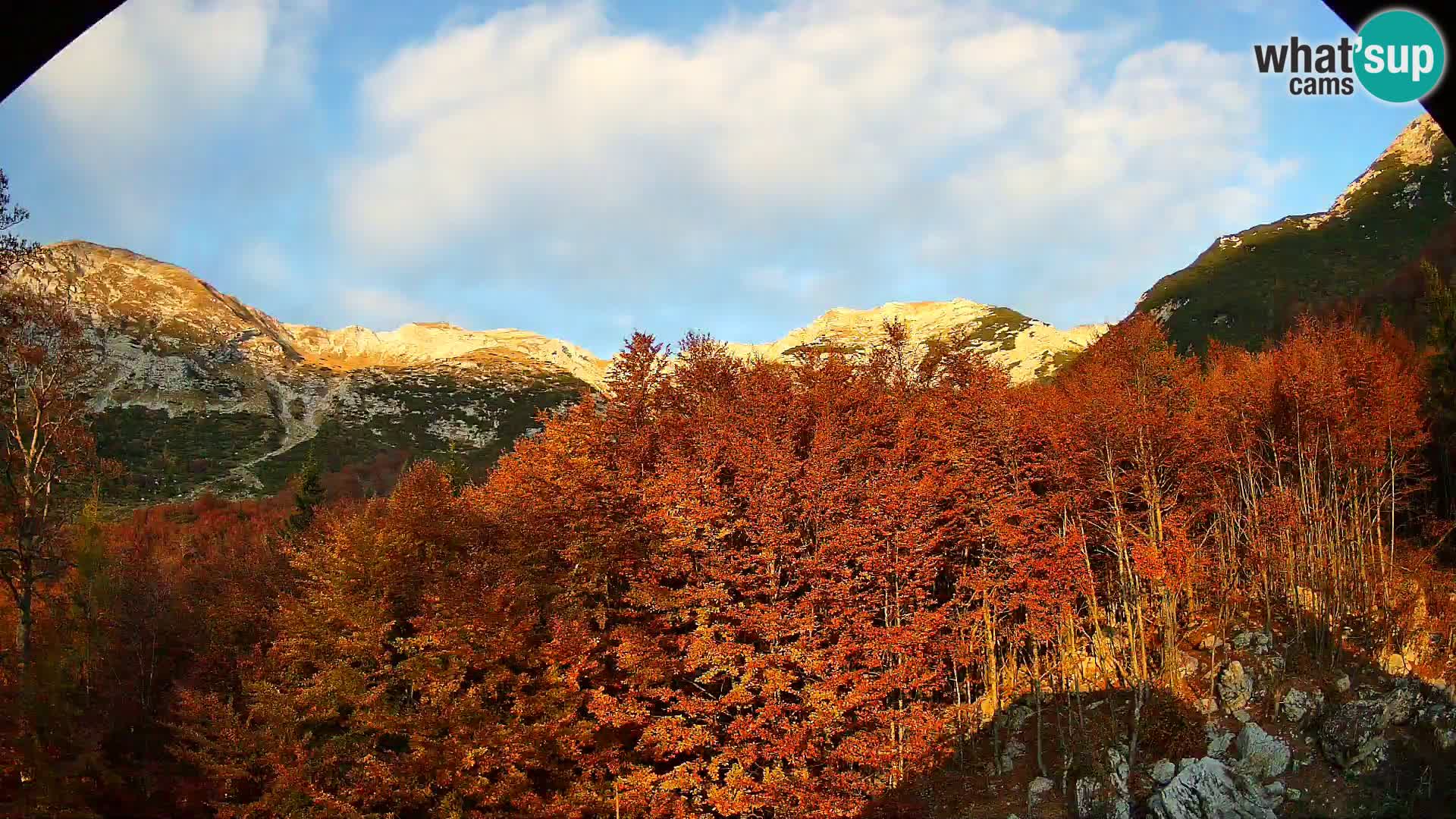 Cámara web PLANINA RAZOR (1315) | vista a Vogel y Globoko