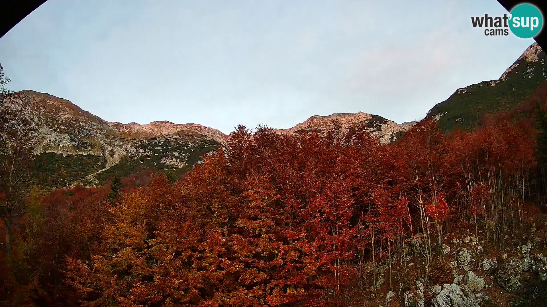 PLANINA RAZOR web kamera (1315) | pogled na Vogel i Globoko