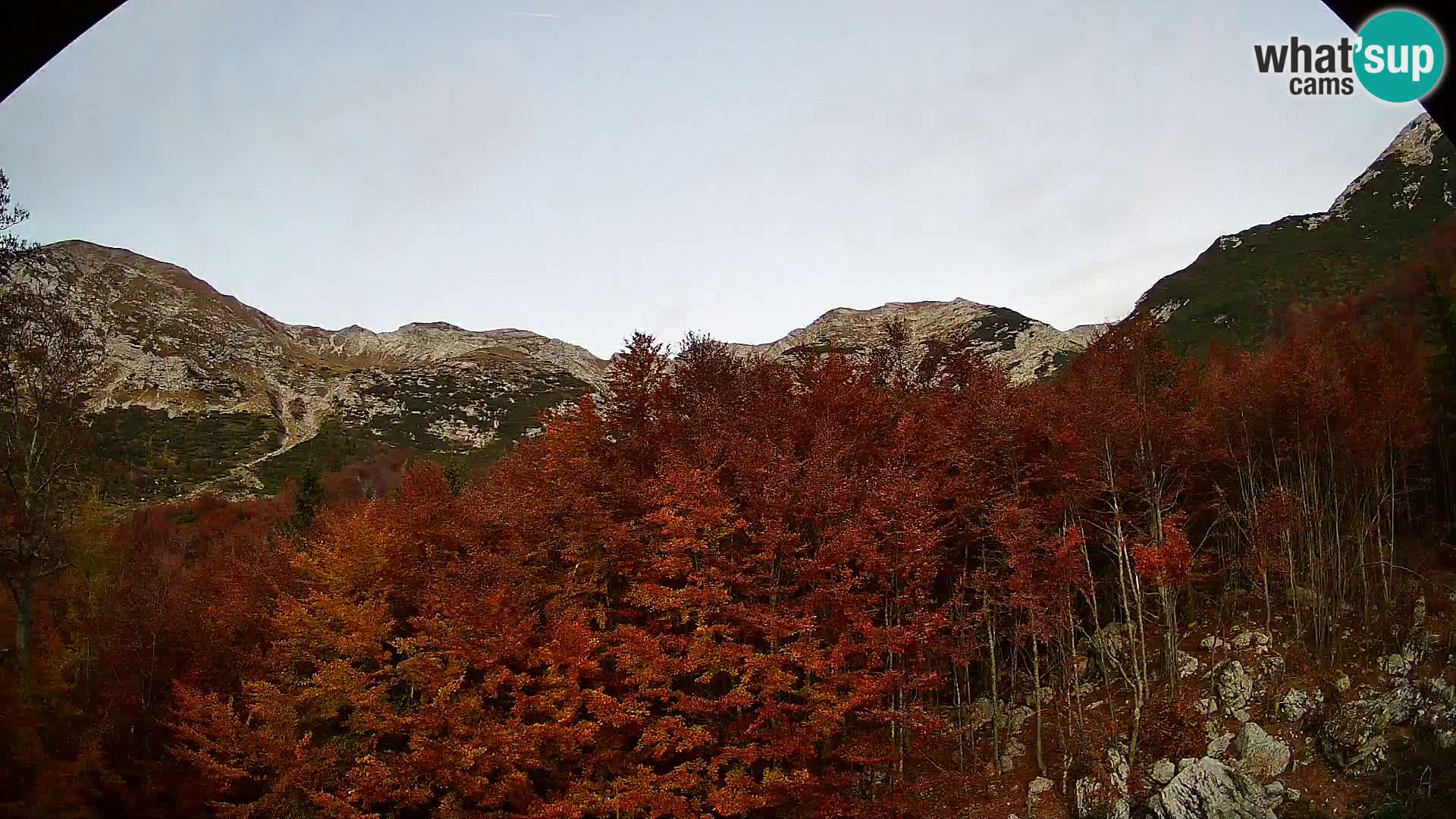 Webcam PLANINA RAZOR (1315) | Blick auf Vogel und Globoko