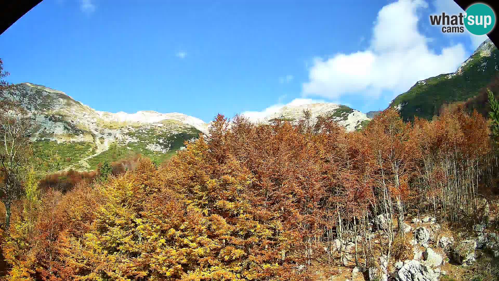 PLANINA RAZOR webcam (1315) | view to Vogel and Globoko