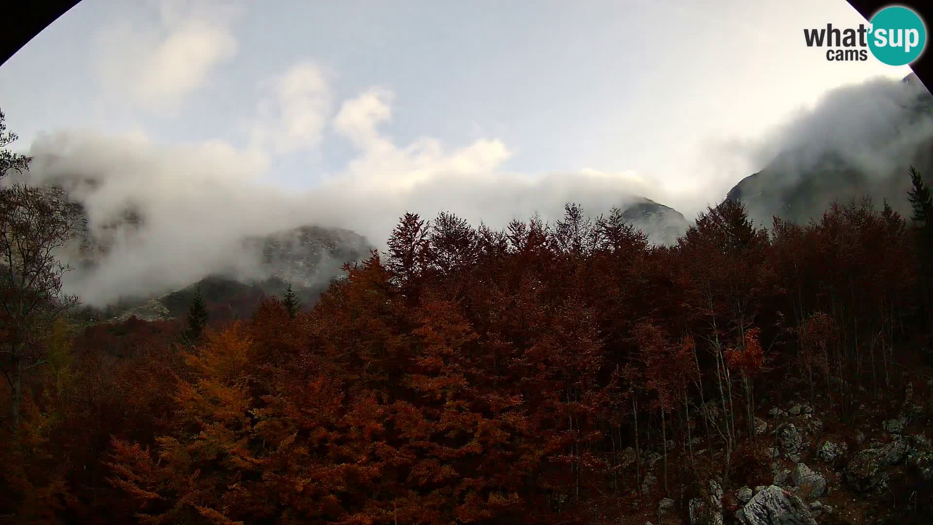 Livecam PLANINA RAZOR (1315) | vue sur Vogel et Globoko