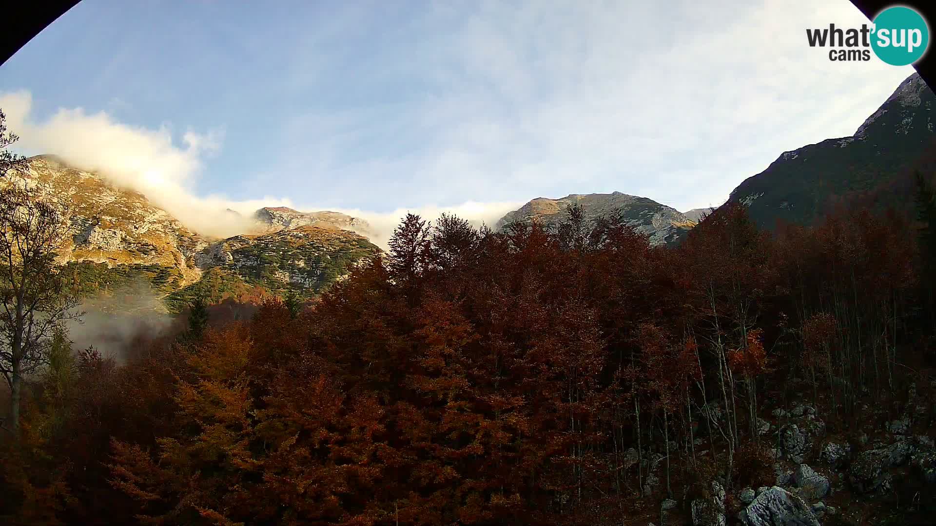 Livecam PLANINA RAZOR (1315) | vue sur Vogel et Globoko