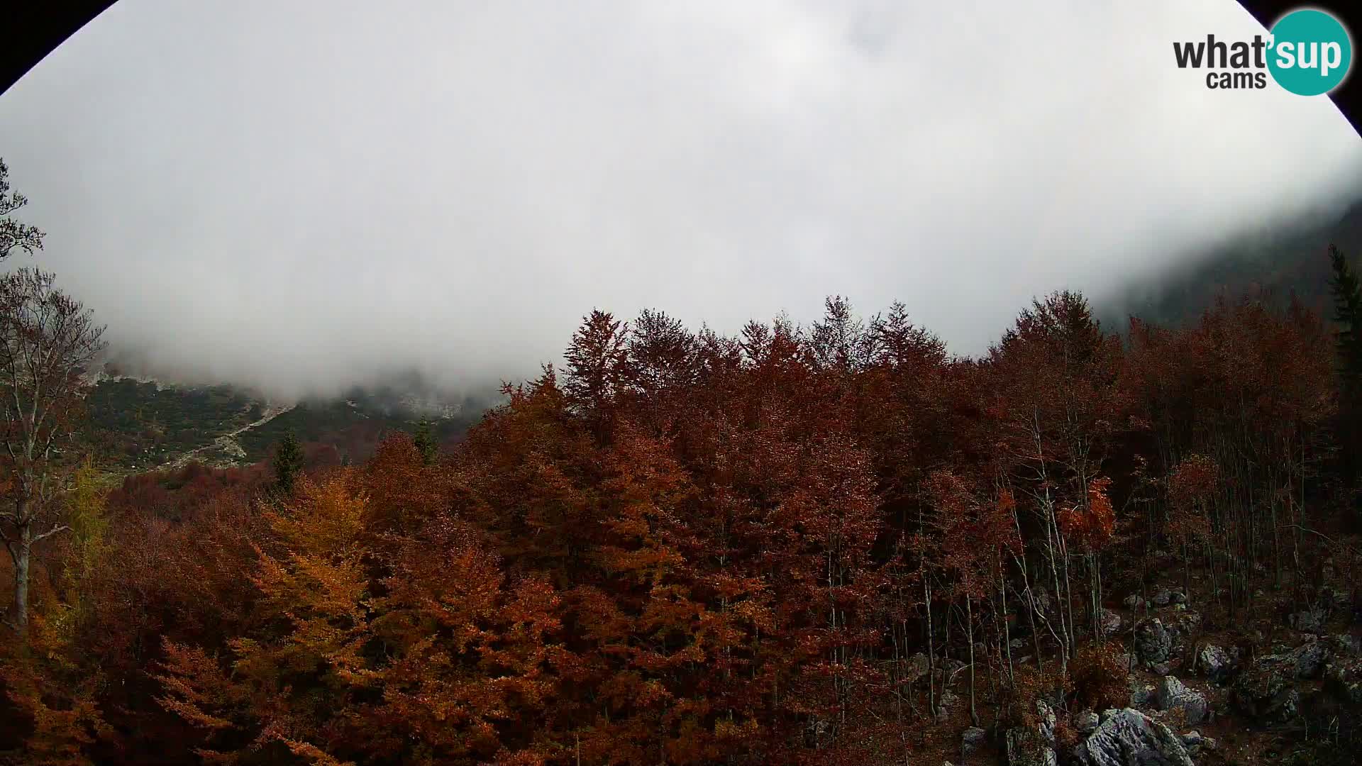 PLANINA RAZOR webcam (1315) | view to Vogel and Globoko