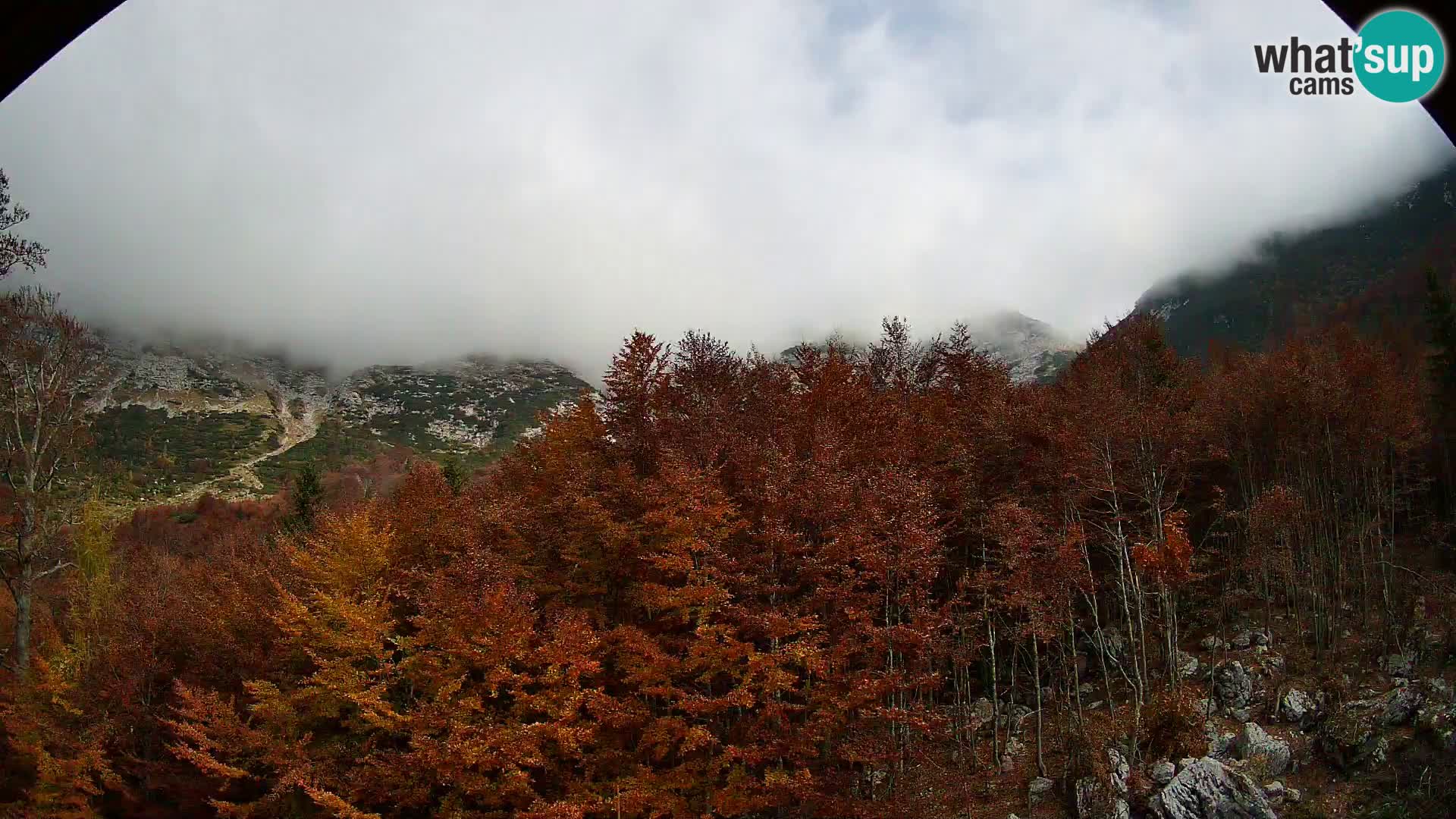 PLANINA RAZOR kamera (1315) | pogled na Vogel in Globoko