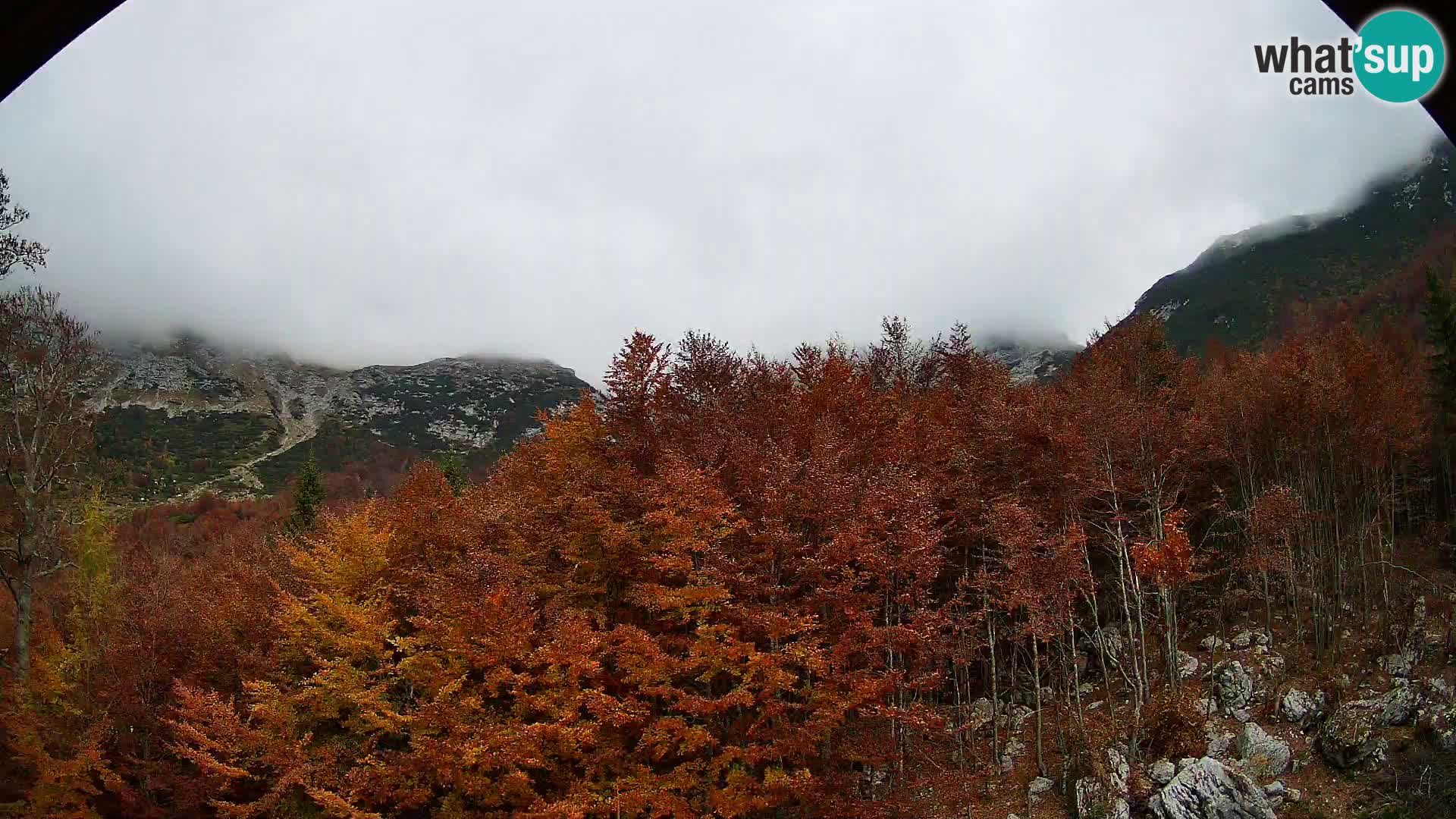 PLANINA RAZOR webcam (1315) | view to Vogel and Globoko