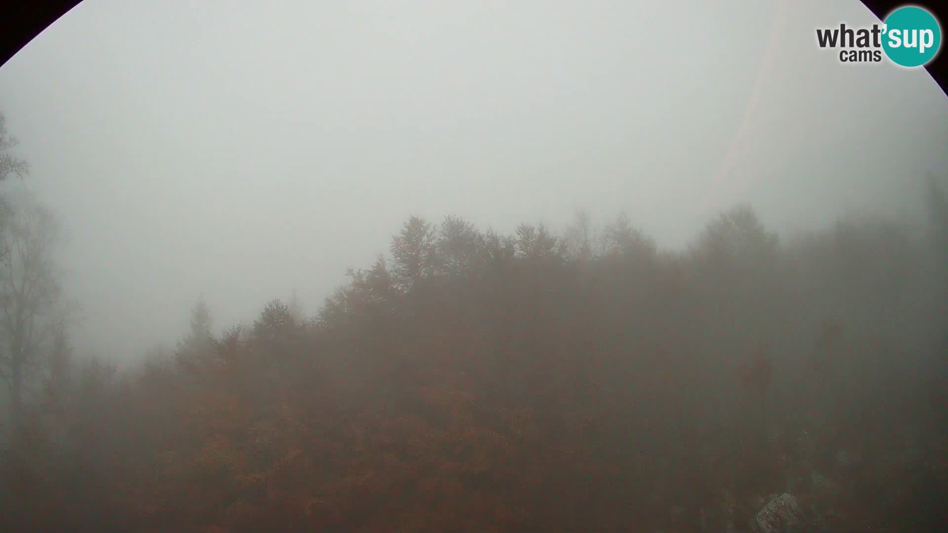 Livecam PLANINA RAZOR (1315) | vue sur Vogel et Globoko