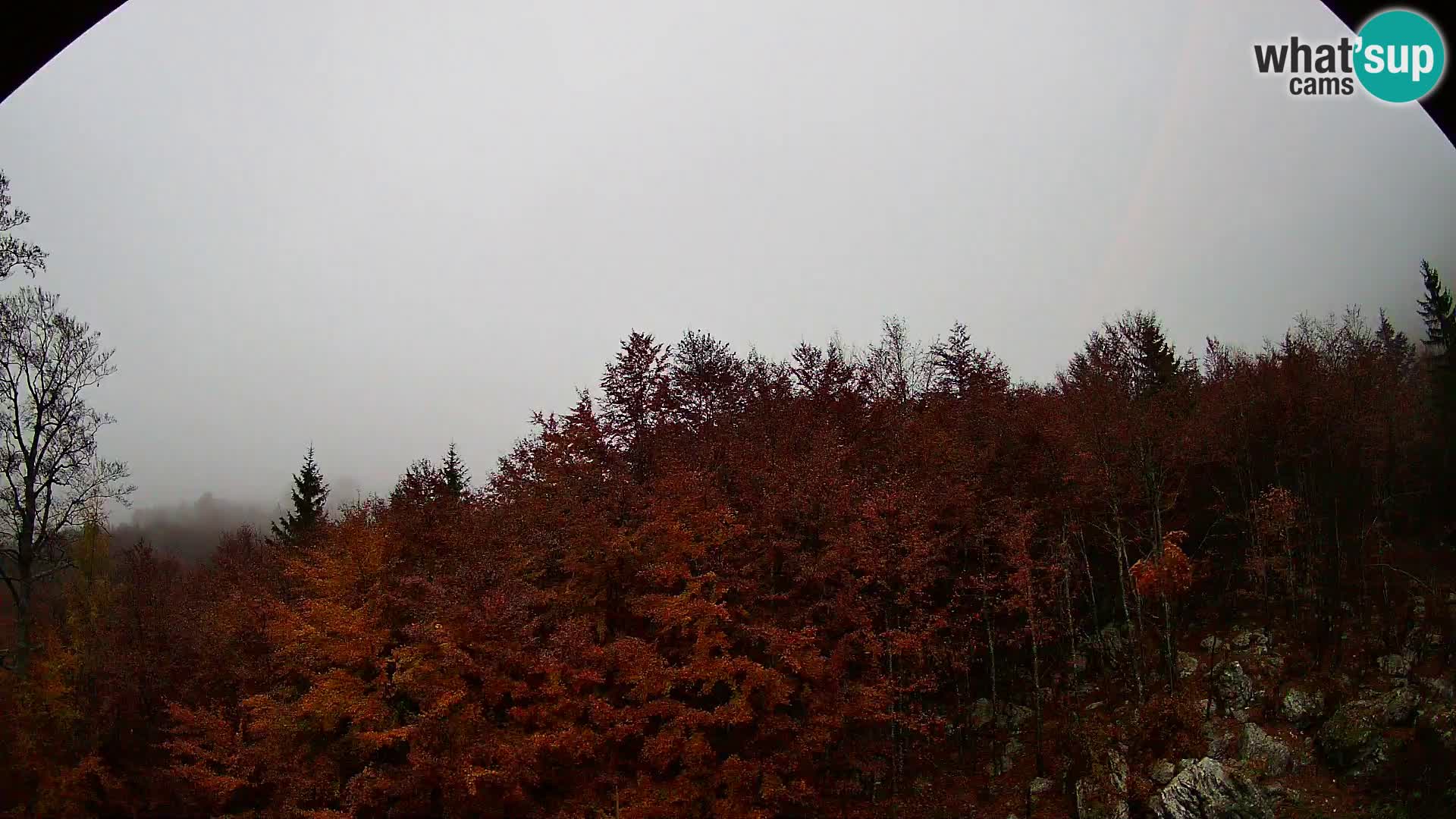 PLANINA RAZOR Live Cam (1315) | vista su Vogel e Globoko