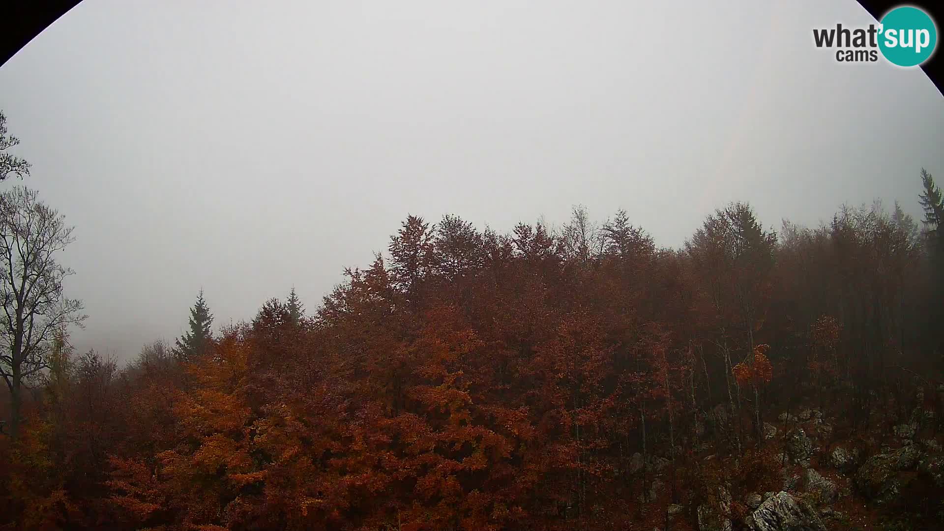 PLANINA RAZOR Live Cam (1315) | vista su Vogel e Globoko