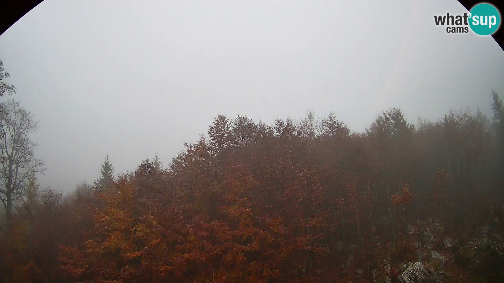 PLANINA RAZOR webcam (1315) | view to Vogel and Globoko