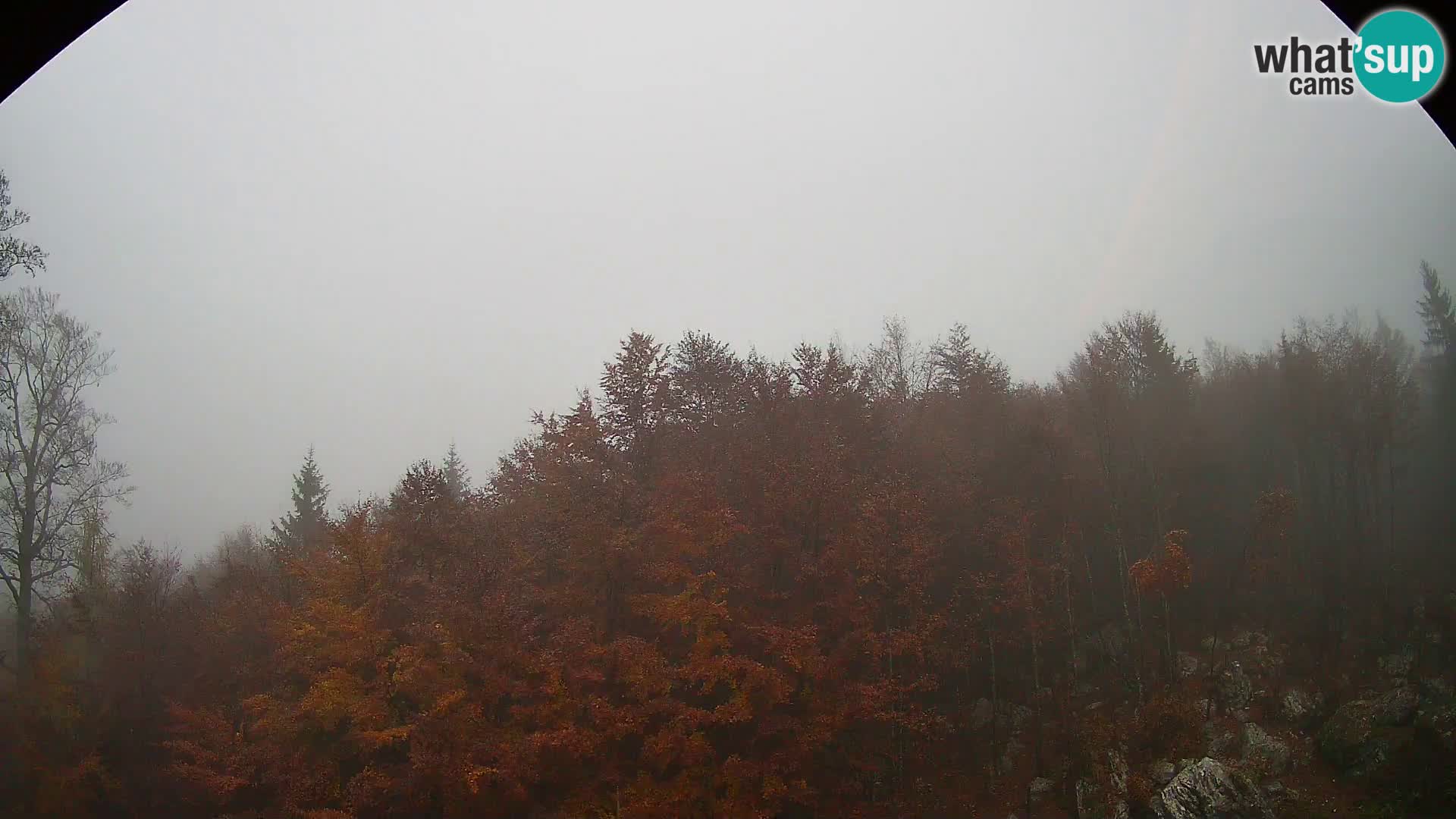 PLANINA RAZOR Live Cam (1315) | vista su Vogel e Globoko