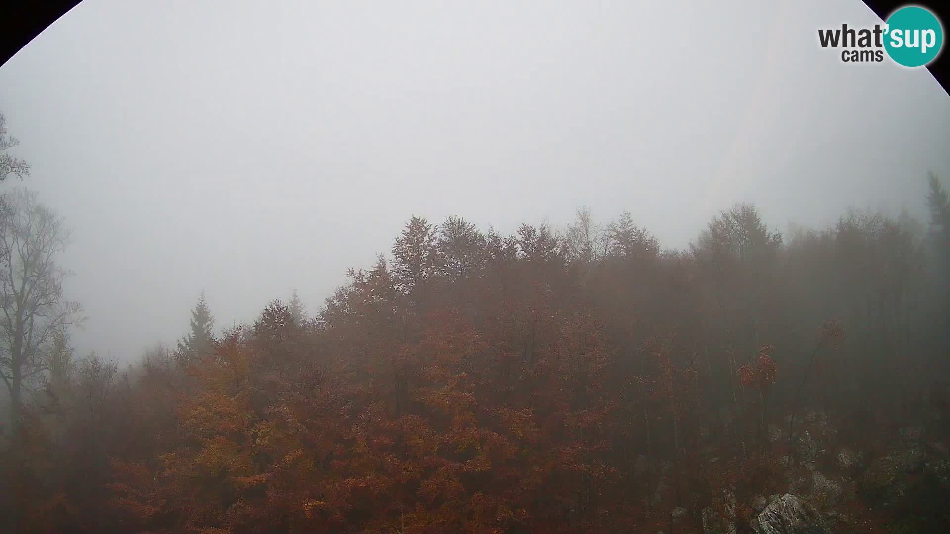 Livecam PLANINA RAZOR (1315) | vue sur Vogel et Globoko