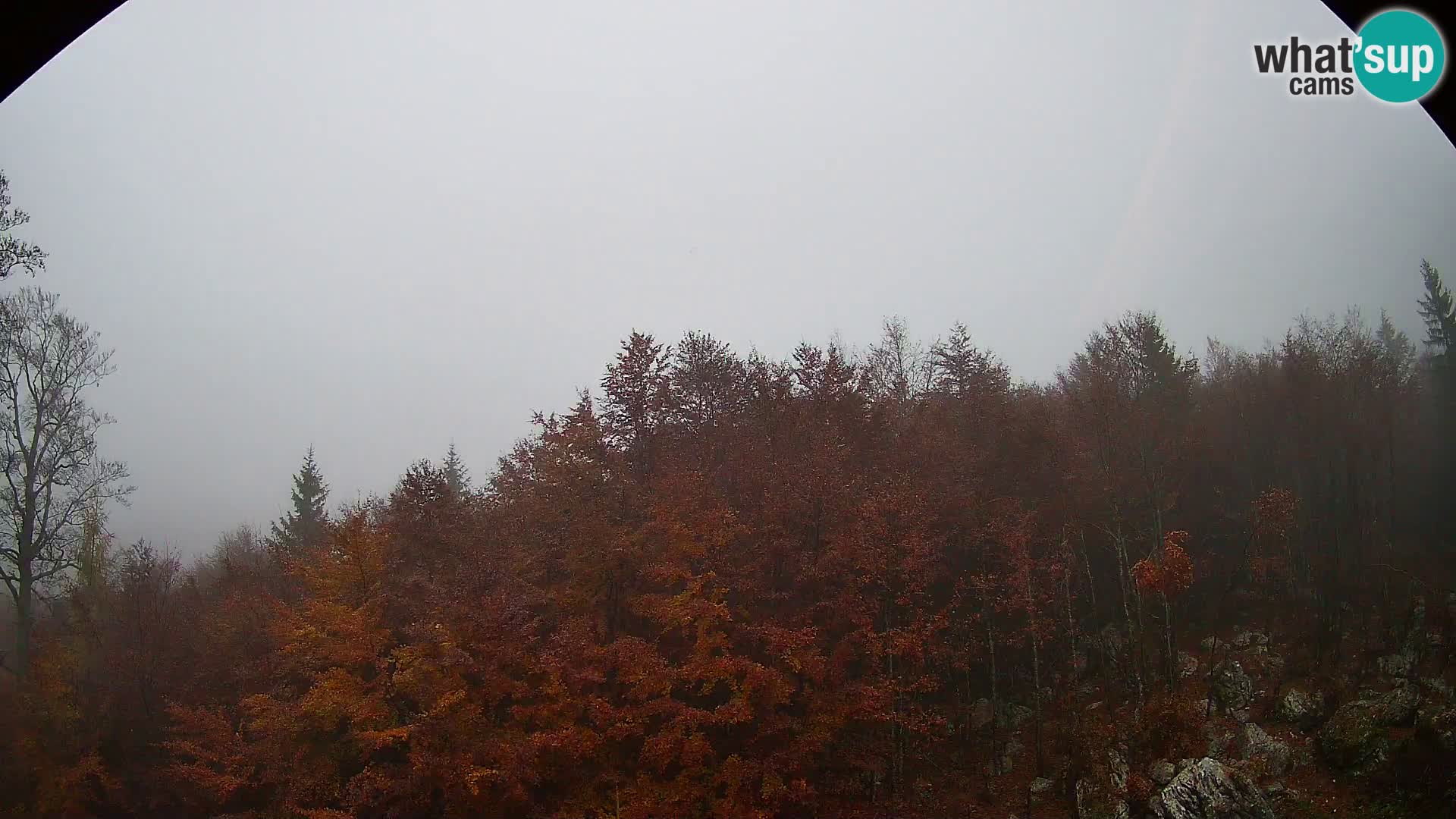Webcam PLANINA RAZOR (1315) | Blick auf Vogel und Globoko