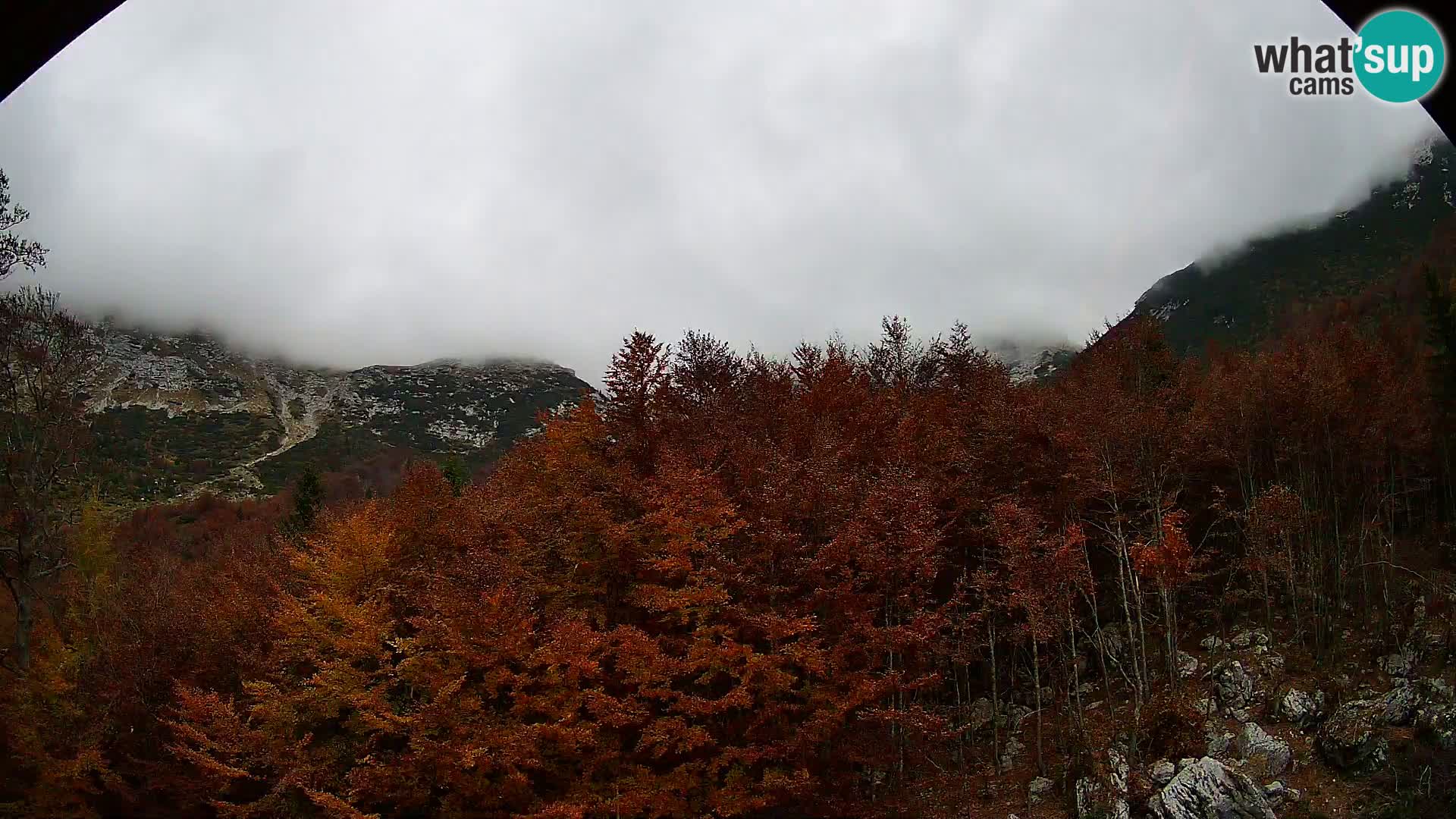 PLANINA RAZOR web kamera (1315) | pogled na Vogel i Globoko