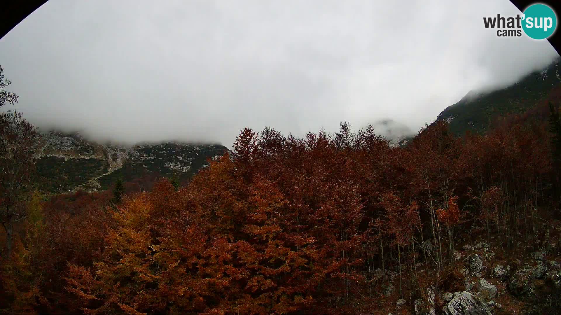 PLANINA RAZOR web kamera (1315) | pogled na Vogel i Globoko