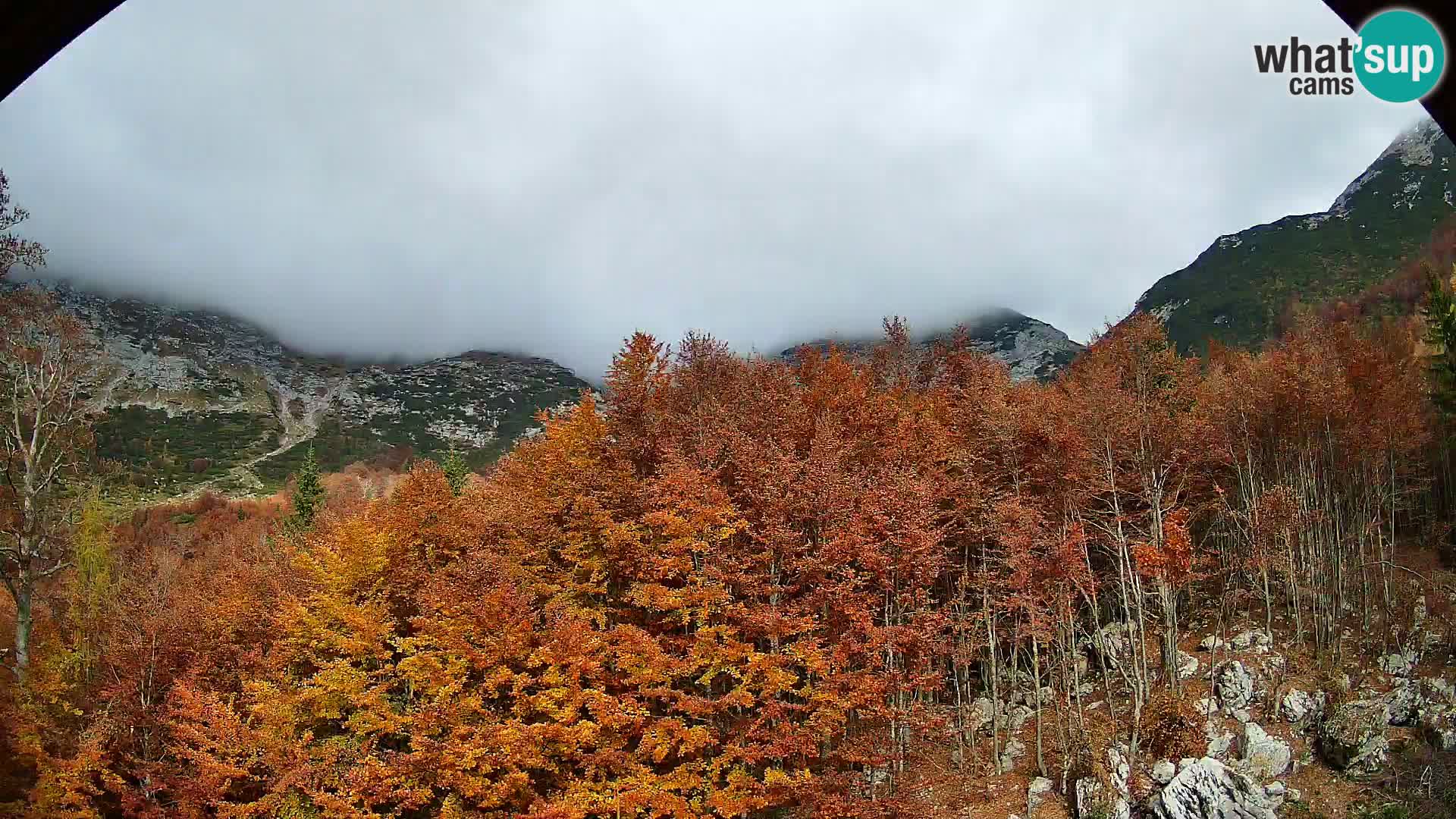 PLANINA RAZOR webcam (1315) | view to Vogel and Globoko