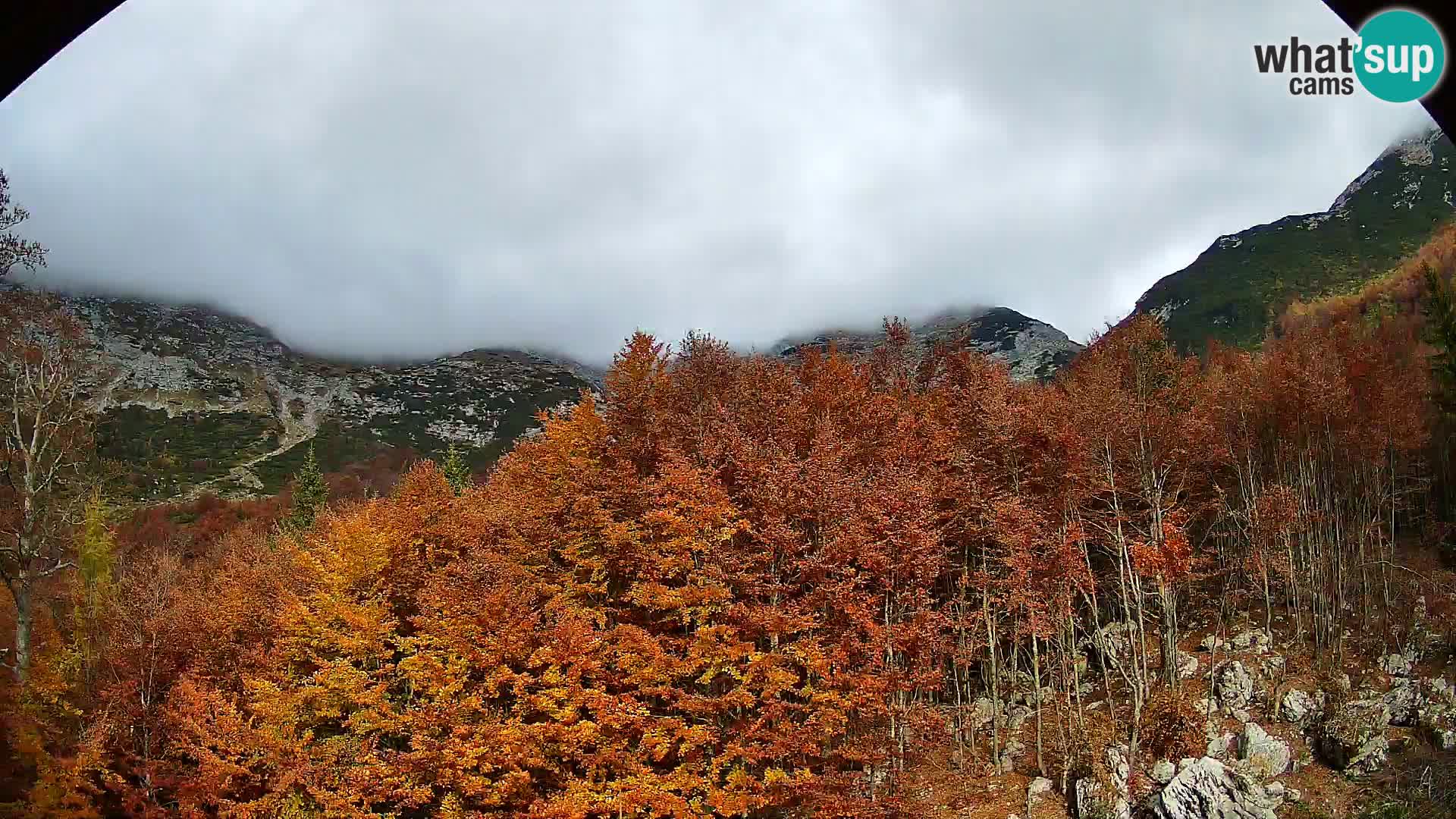 PLANINA RAZOR Live Cam (1315) | vista su Vogel e Globoko