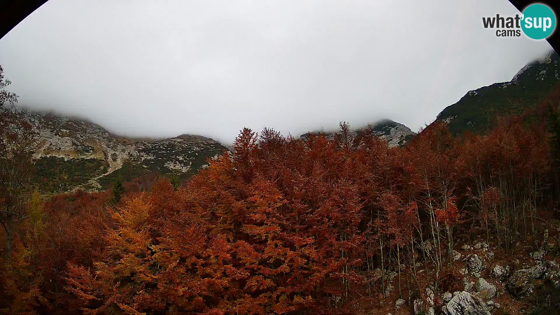PLANINA RAZOR web kamera (1315) | pogled na Vogel i Globoko