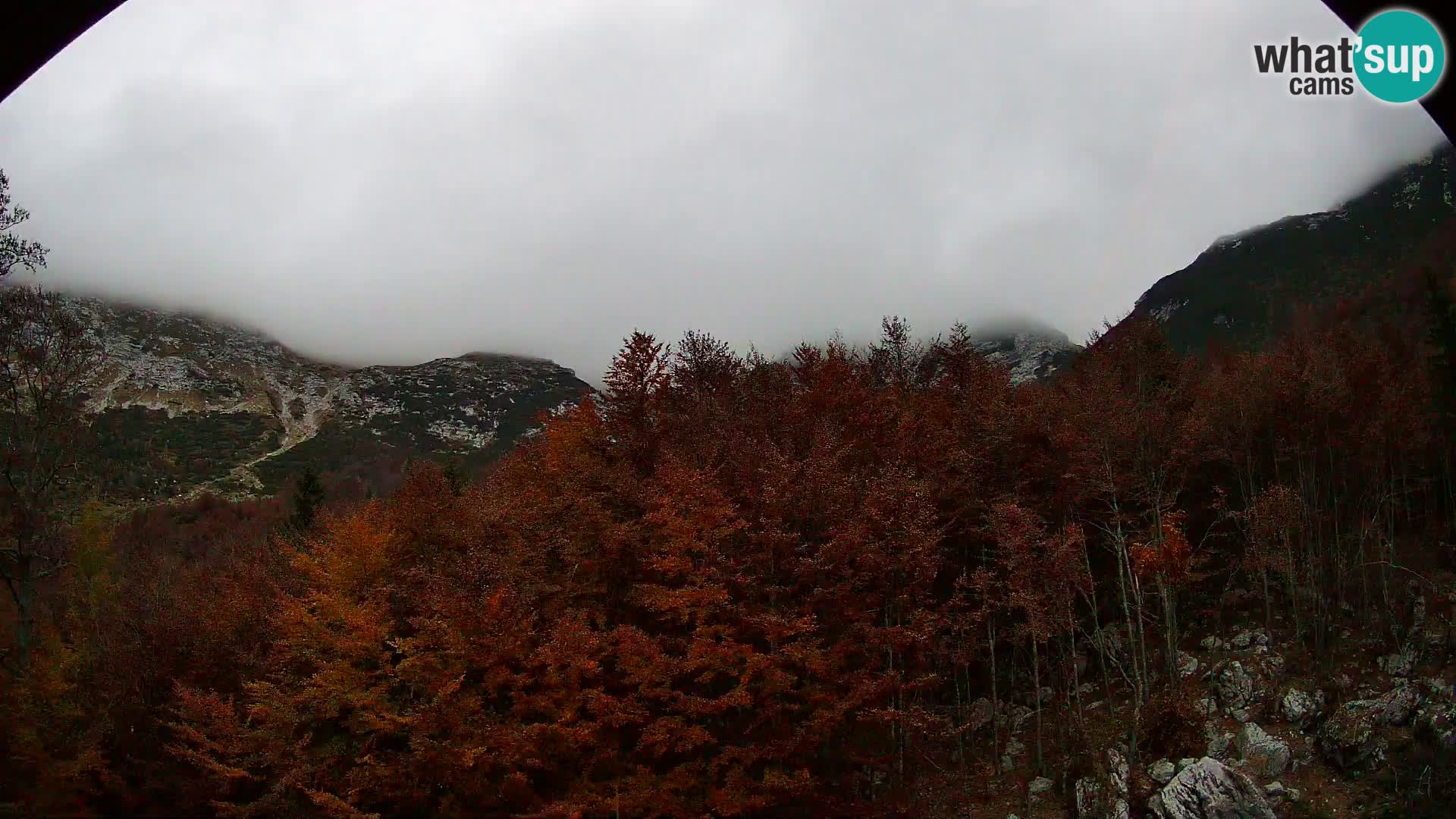 PLANINA RAZOR webcam (1315) | view to Vogel and Globoko