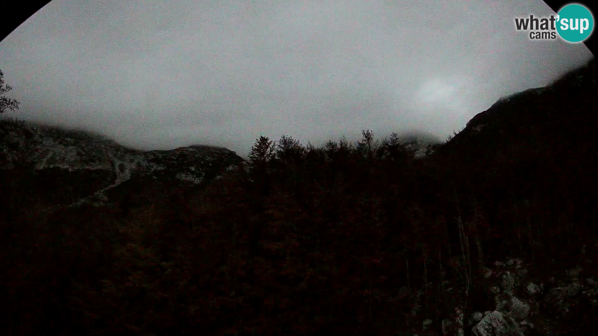 Webcam PLANINA RAZOR (1315) | Blick auf Vogel und Globoko