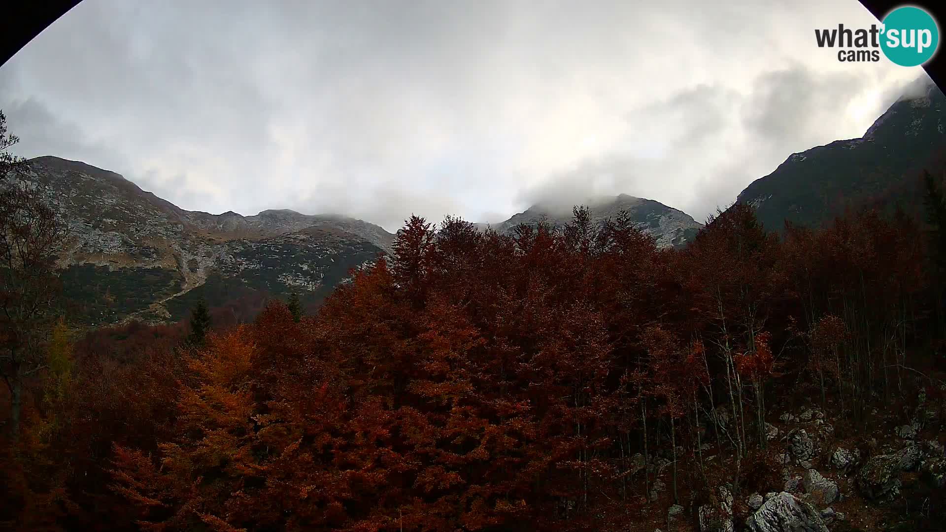 Webcam PLANINA RAZOR (1315) | Blick auf Vogel und Globoko