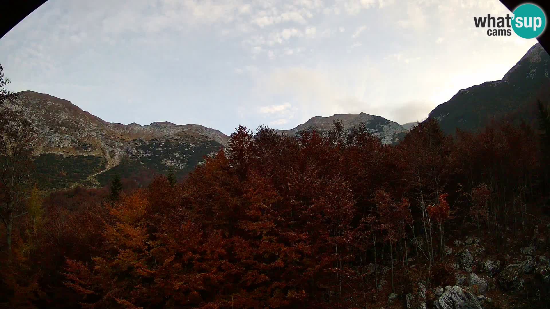 Livecam PLANINA RAZOR (1315) | vue sur Vogel et Globoko