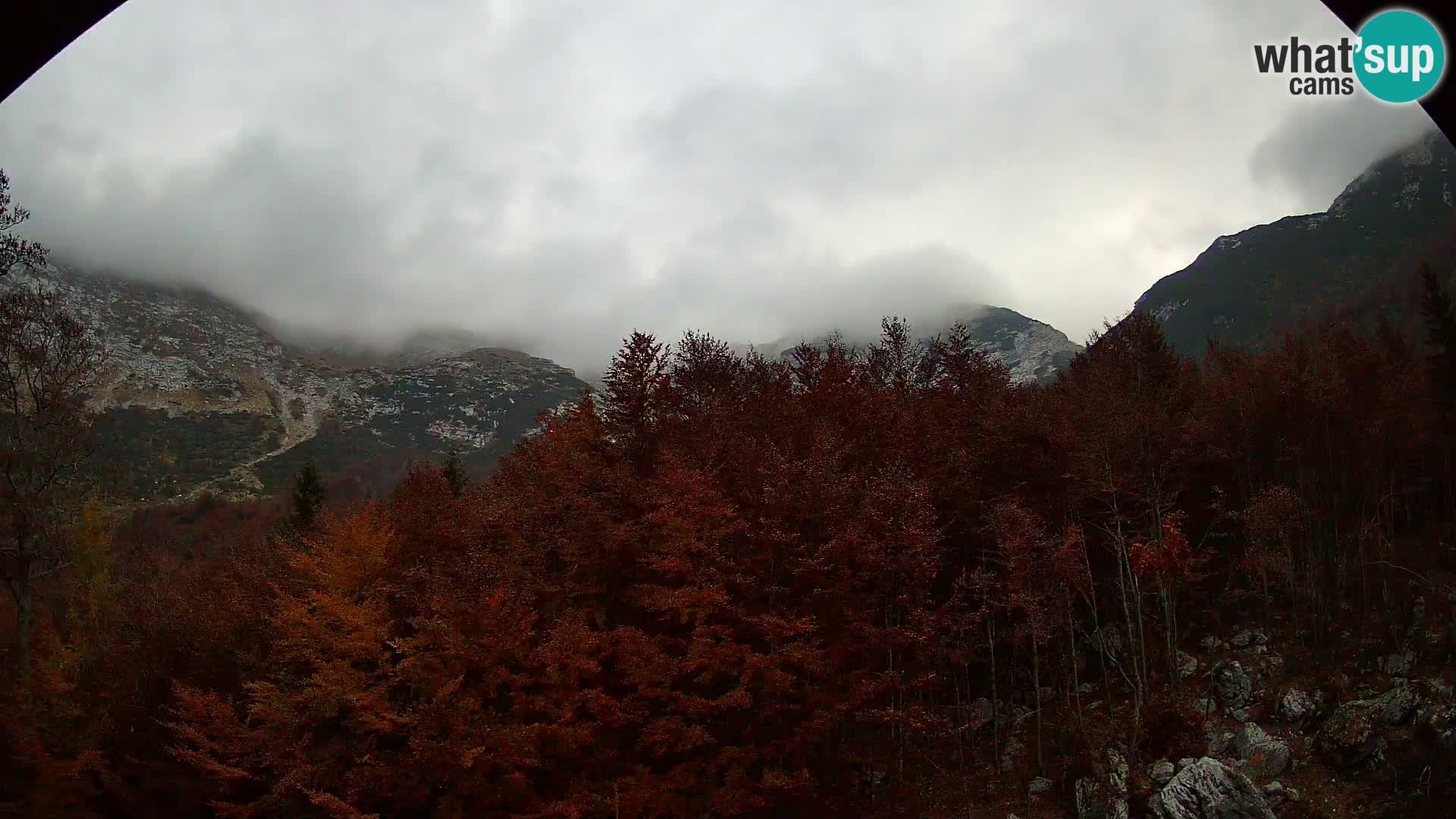 Webcam PLANINA RAZOR (1315) | Blick auf Vogel und Globoko