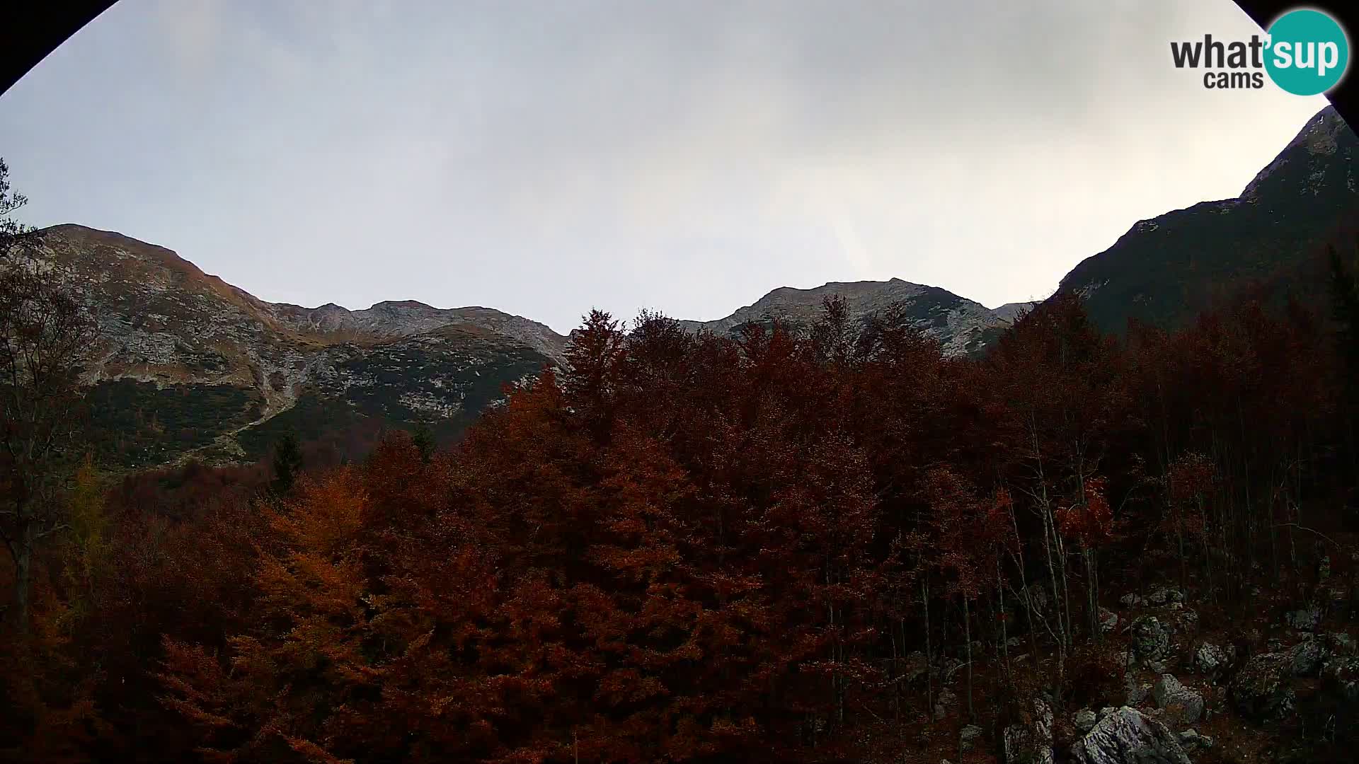 PLANINA RAZOR webcam (1315) | view to Vogel and Globoko