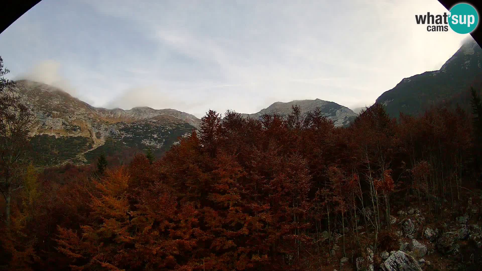 PLANINA RAZOR kamera (1315) | pogled na Vogel in Globoko